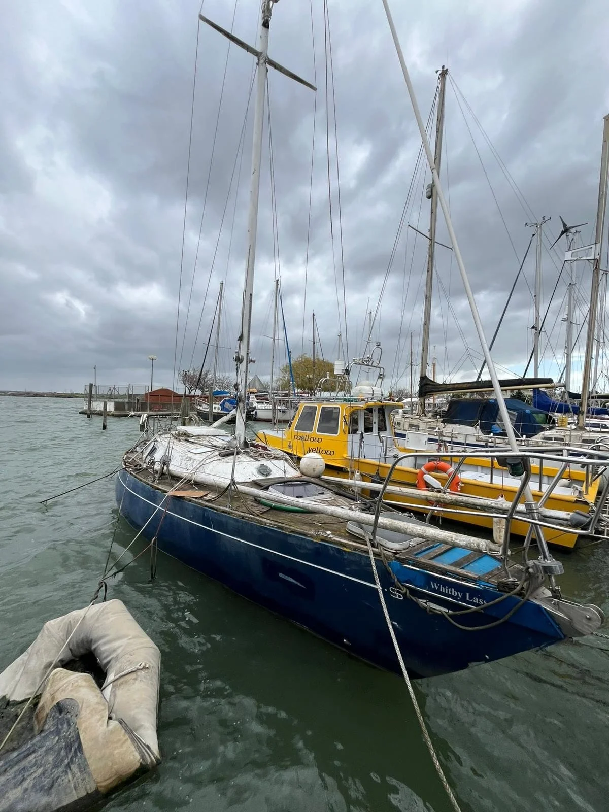 Whitby Lass 1 - Copy.jpg