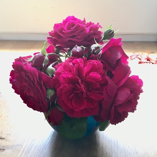 And they smell heavenly too. #roses #red #summer