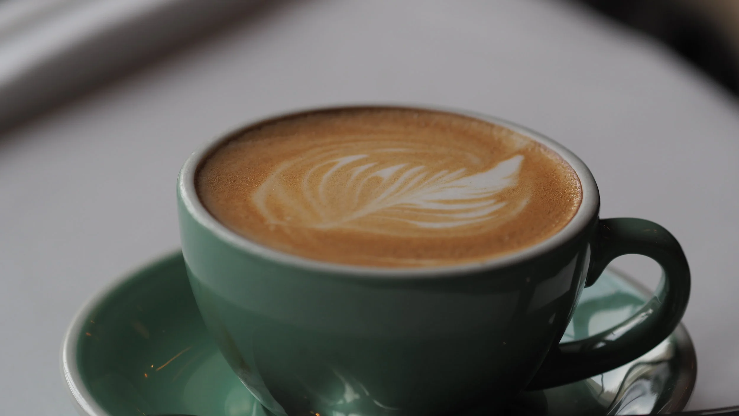 DAIRY AND LACTOSE INTOLERANCE | KAMILLA SCHAFFNER