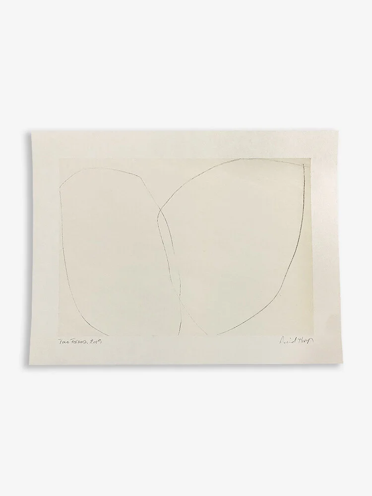 Two_Forms_DavidHardy_AbstractArtist.jpg