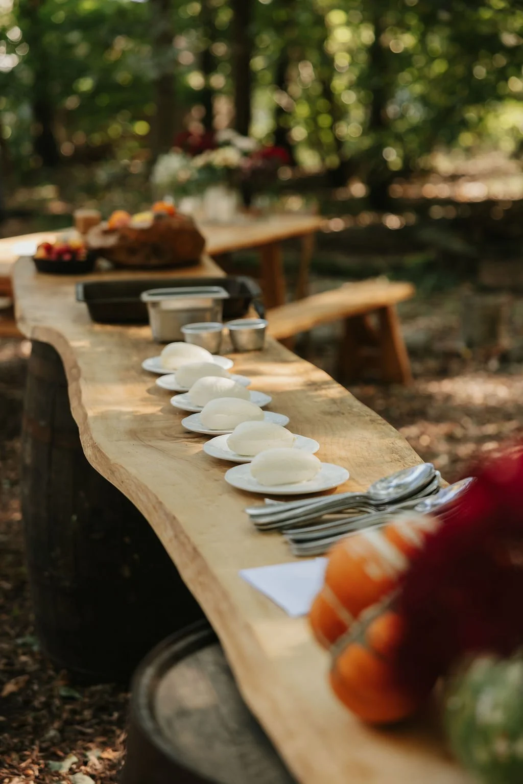 WildTable-RebeccaHopePhotography-0013.jpg