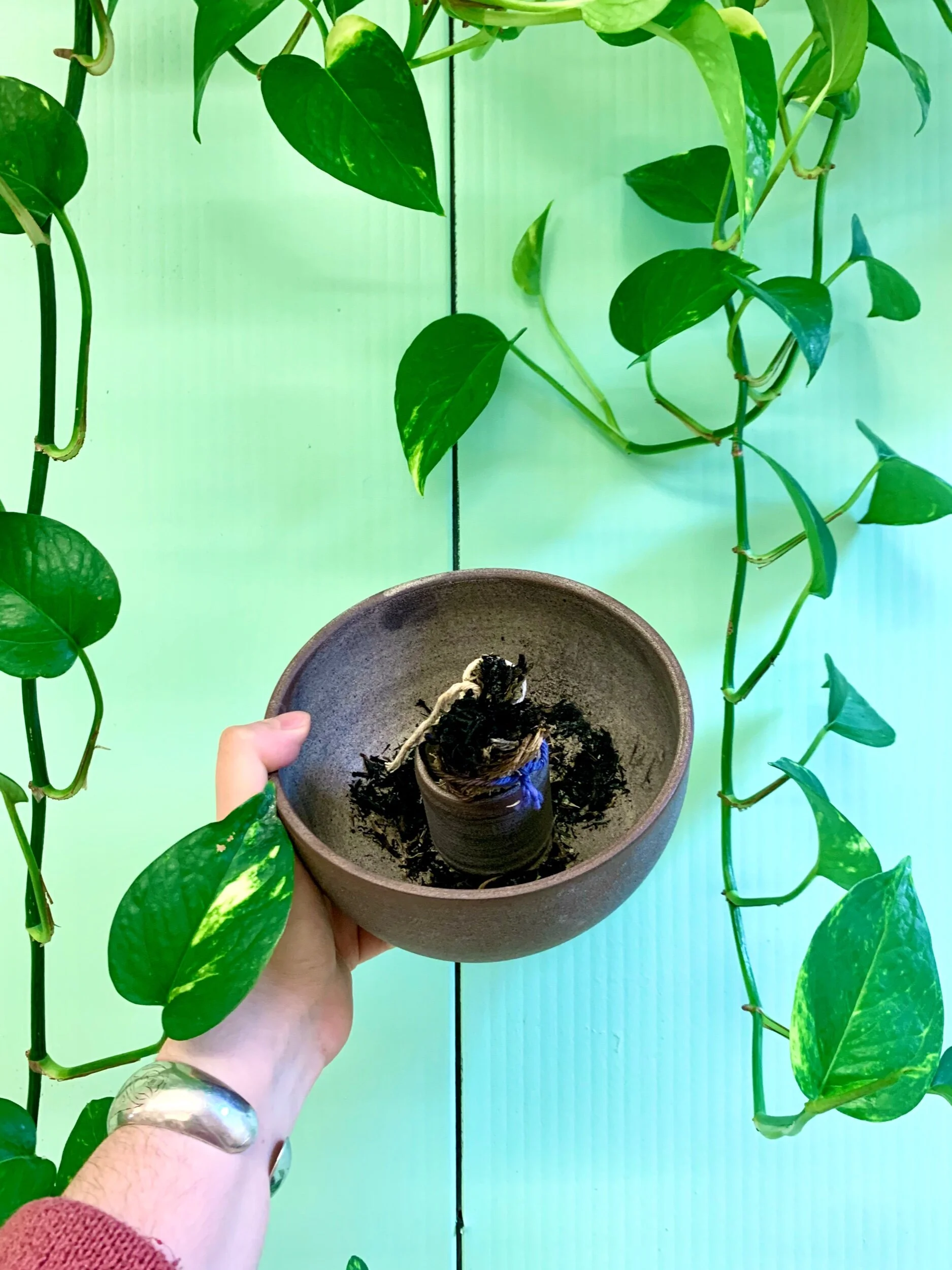 F98A73F3-5E85-4E1A-B68B-57C5FC27E3CD