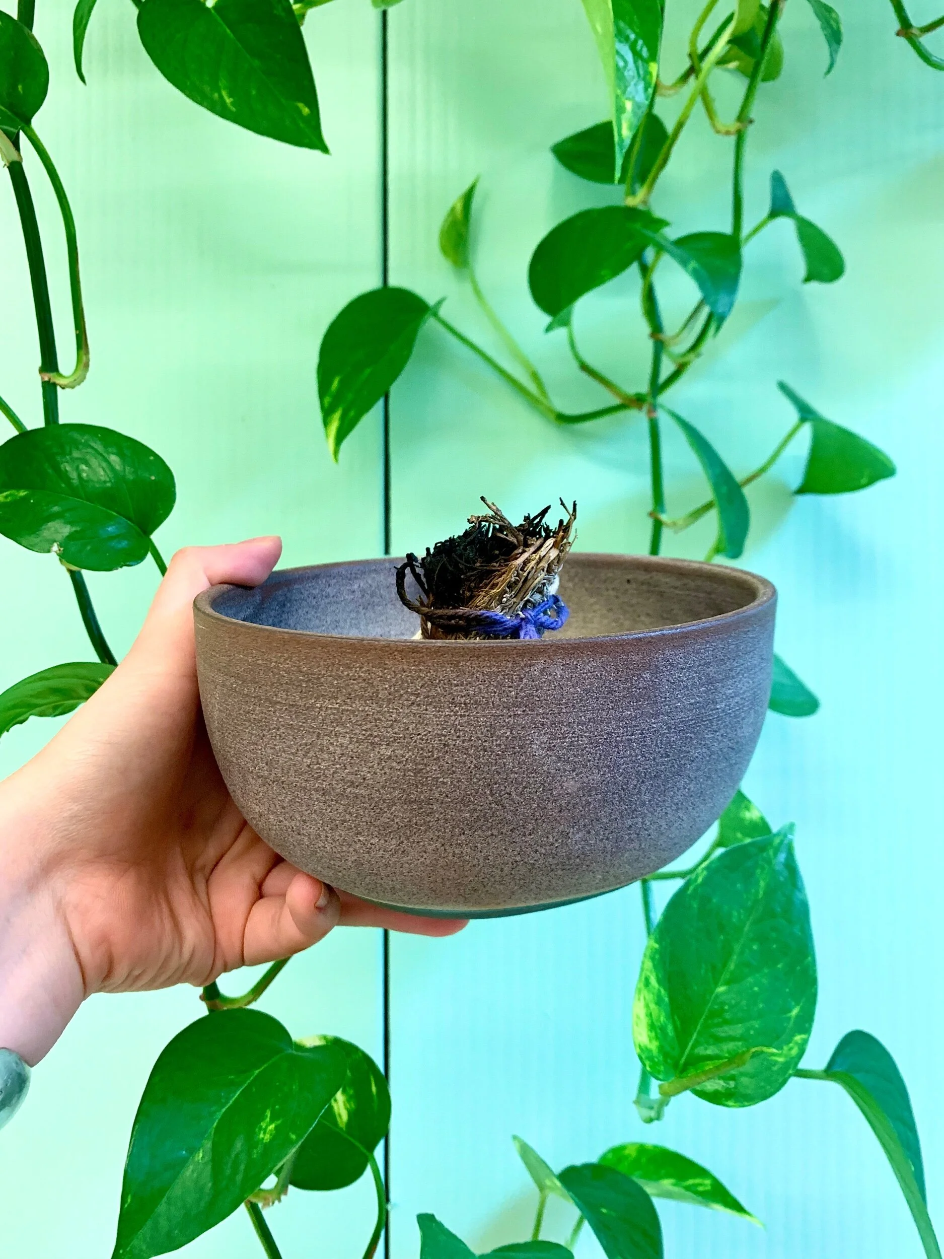 72C96225-8F36-4856-AE2B-4AFF6F441A37