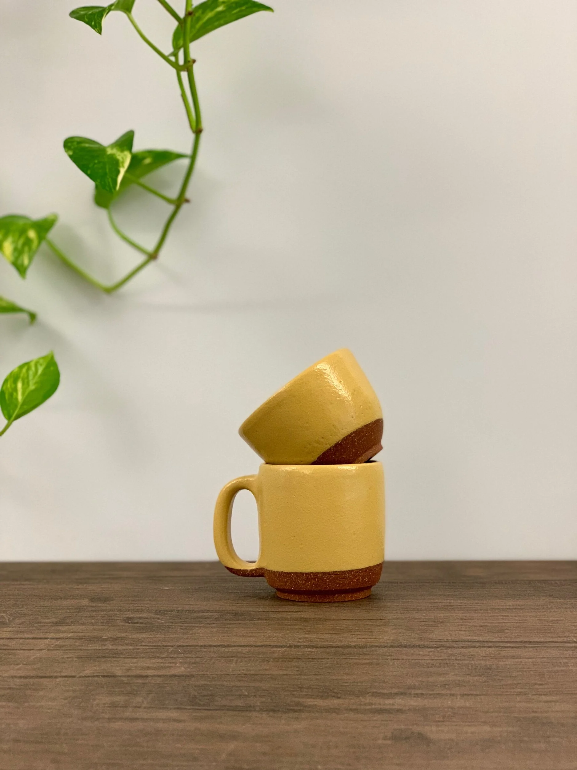 E6CD4825-6032-4765-9AA0-88ADB06ED1C1