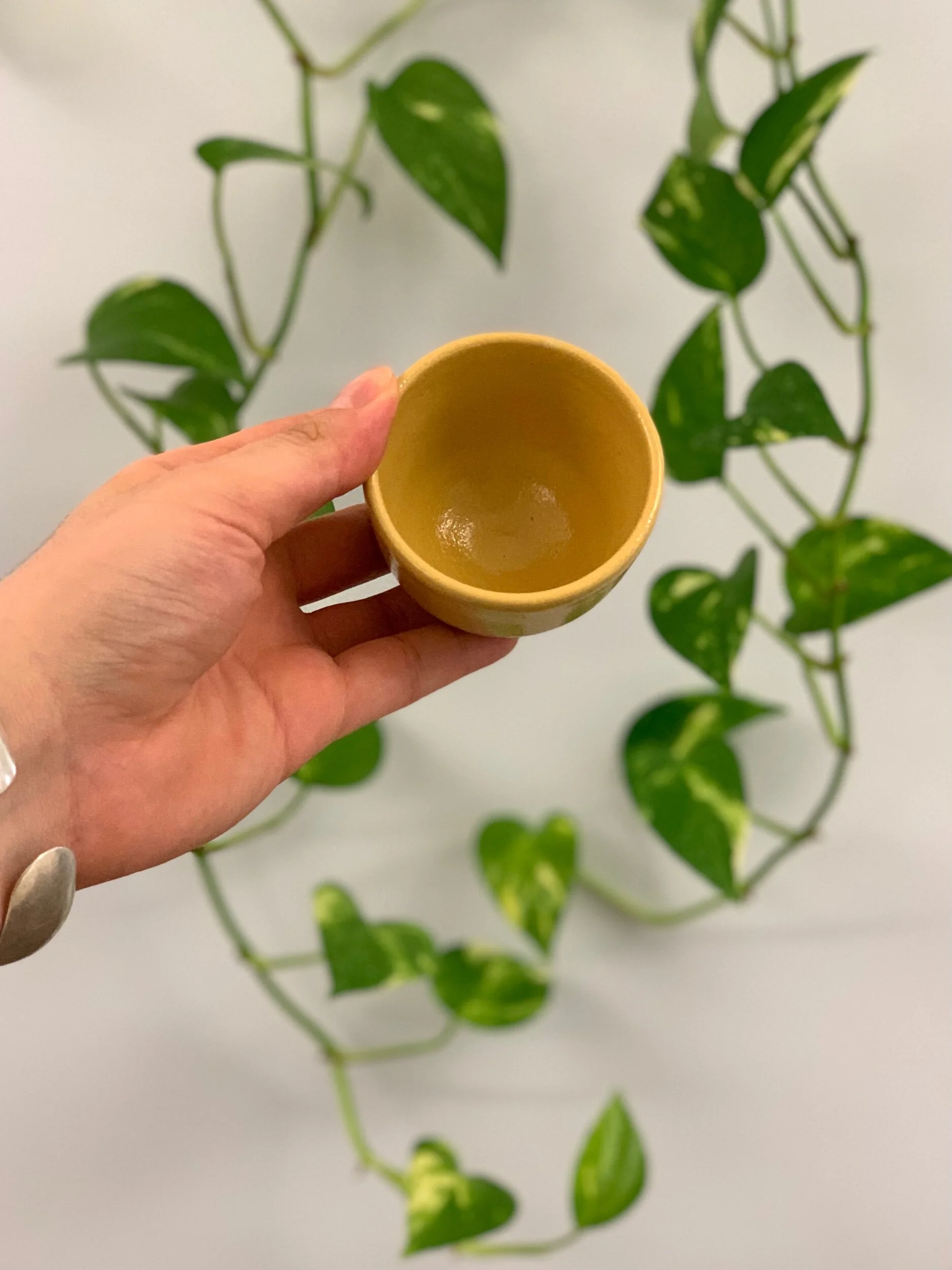 5425603D-0D8C-4669-8181-888F6C6CCE6C