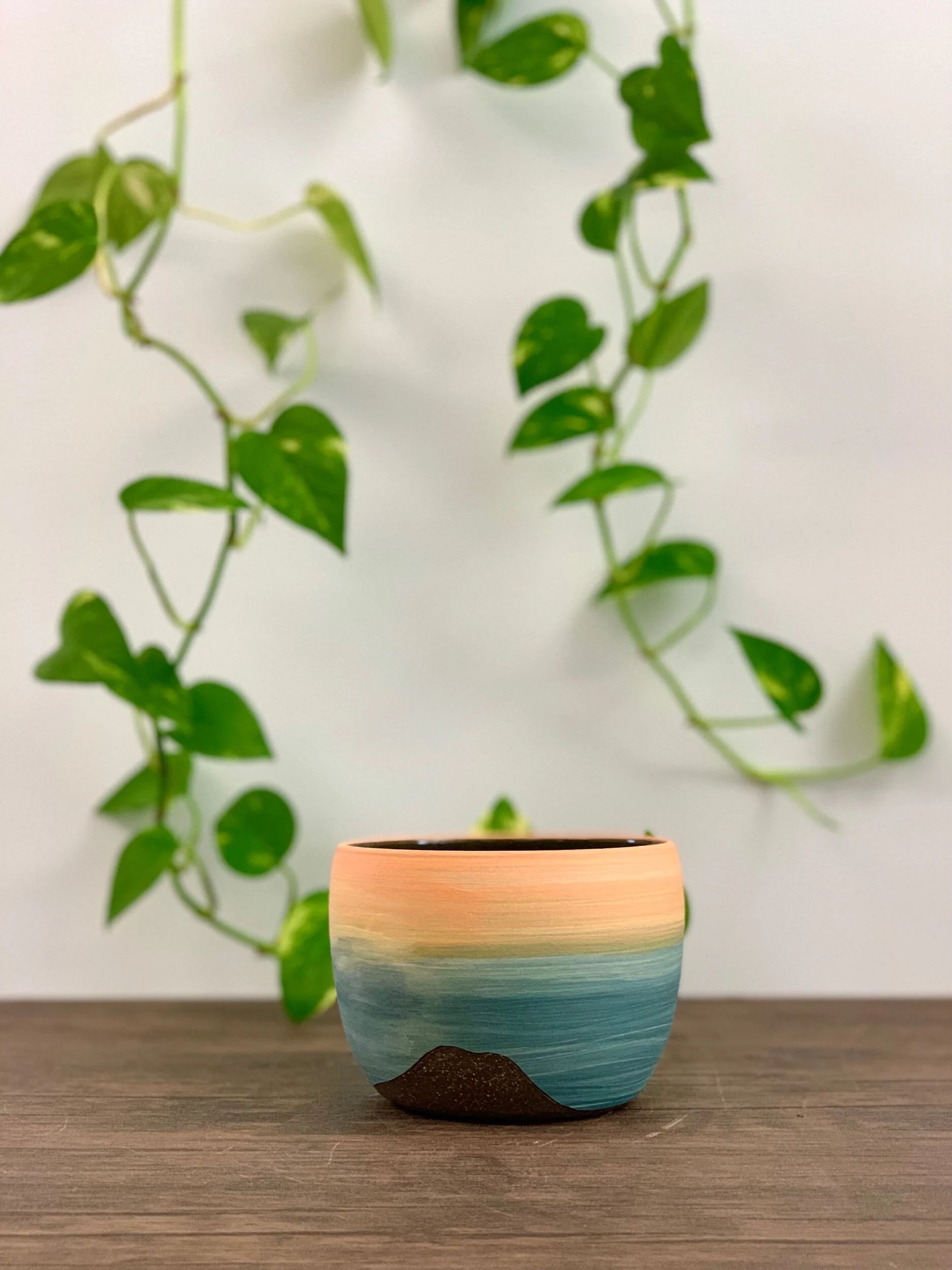 BC49F079-8B33-470E-A11A-9F2924A13F80