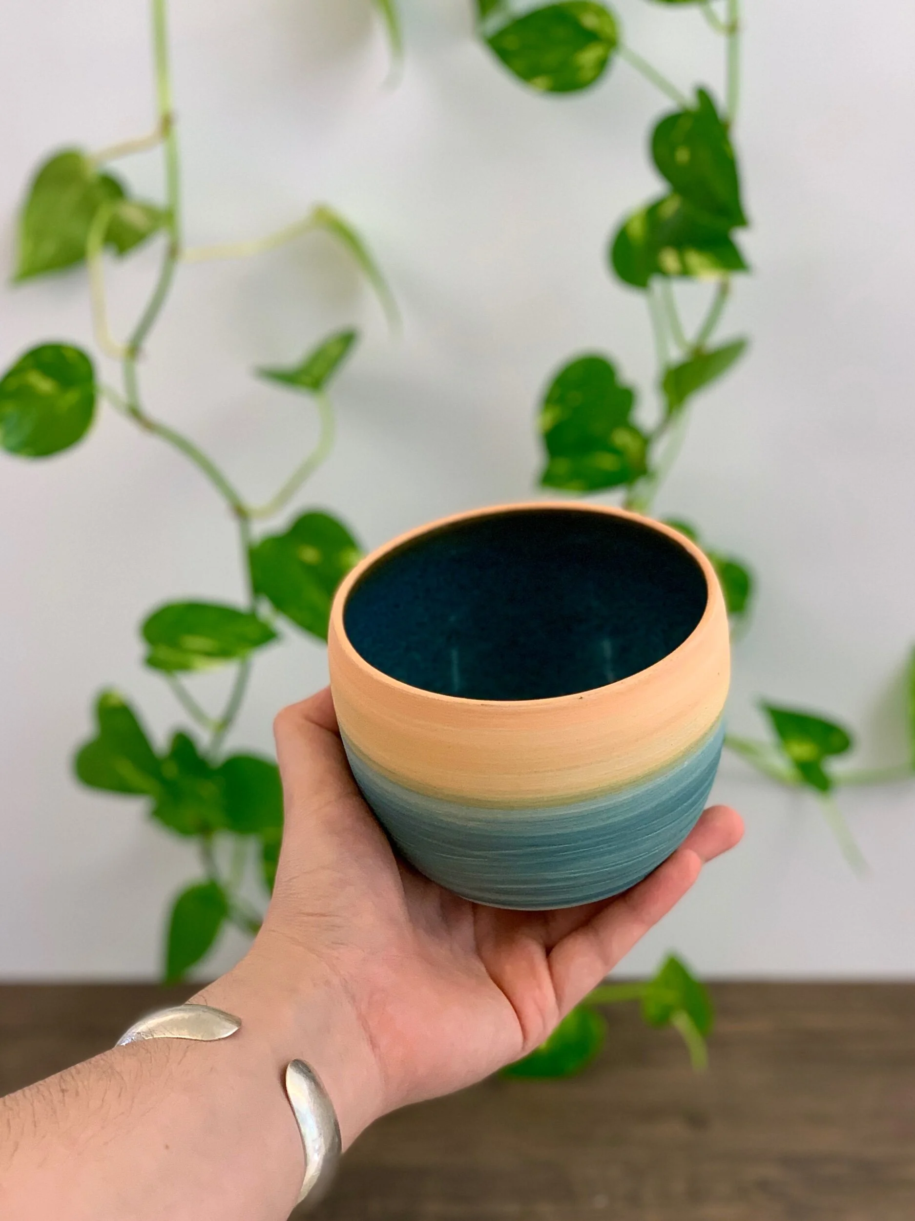 43530937-96DF-4E84-8A78-33E31F27A60A