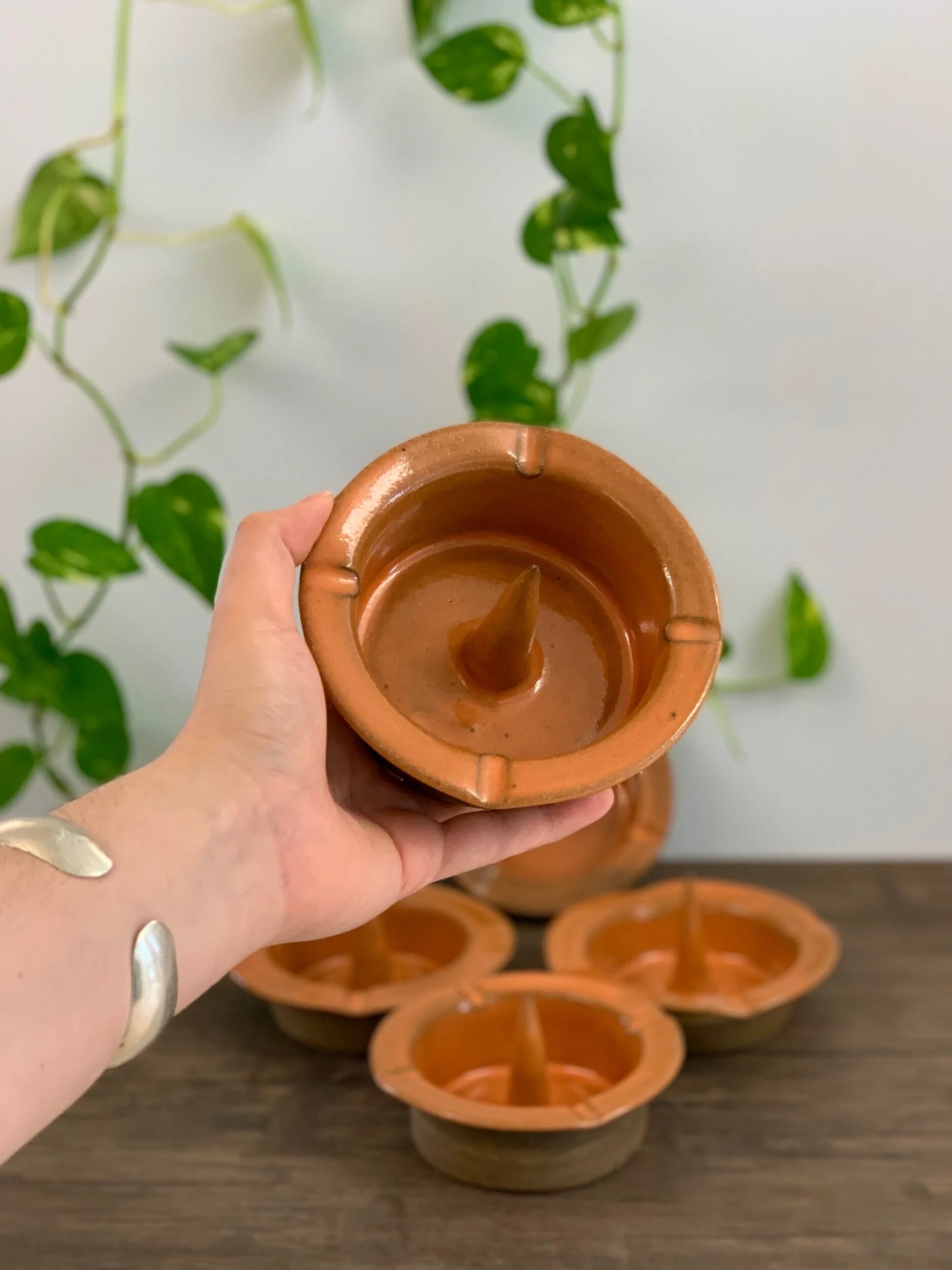 1D8B388E-A795-455B-86D8-073239F7E949