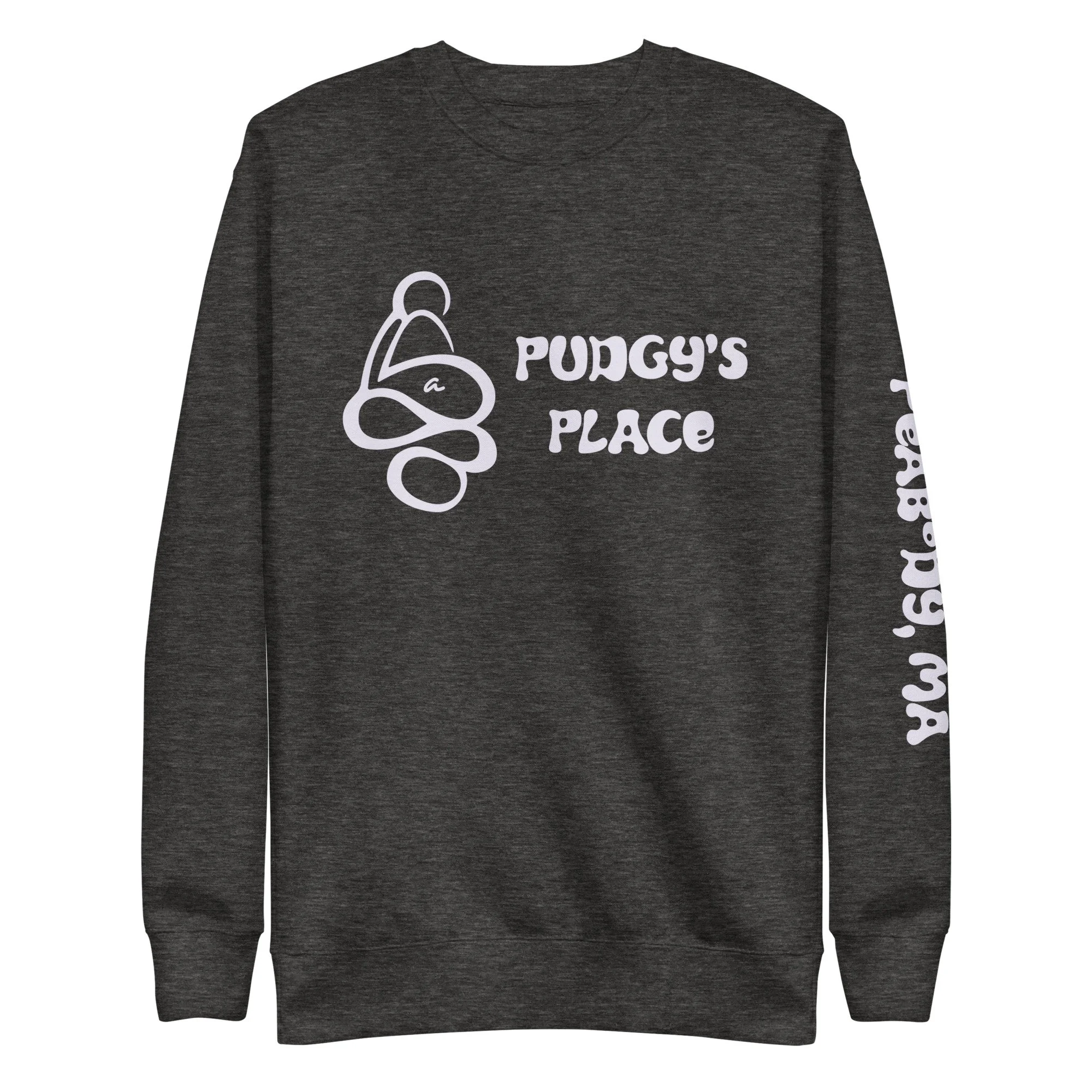 unisex-premium-sweatshirt-charcoal-heather-front-6a1cb822569b4.jpg