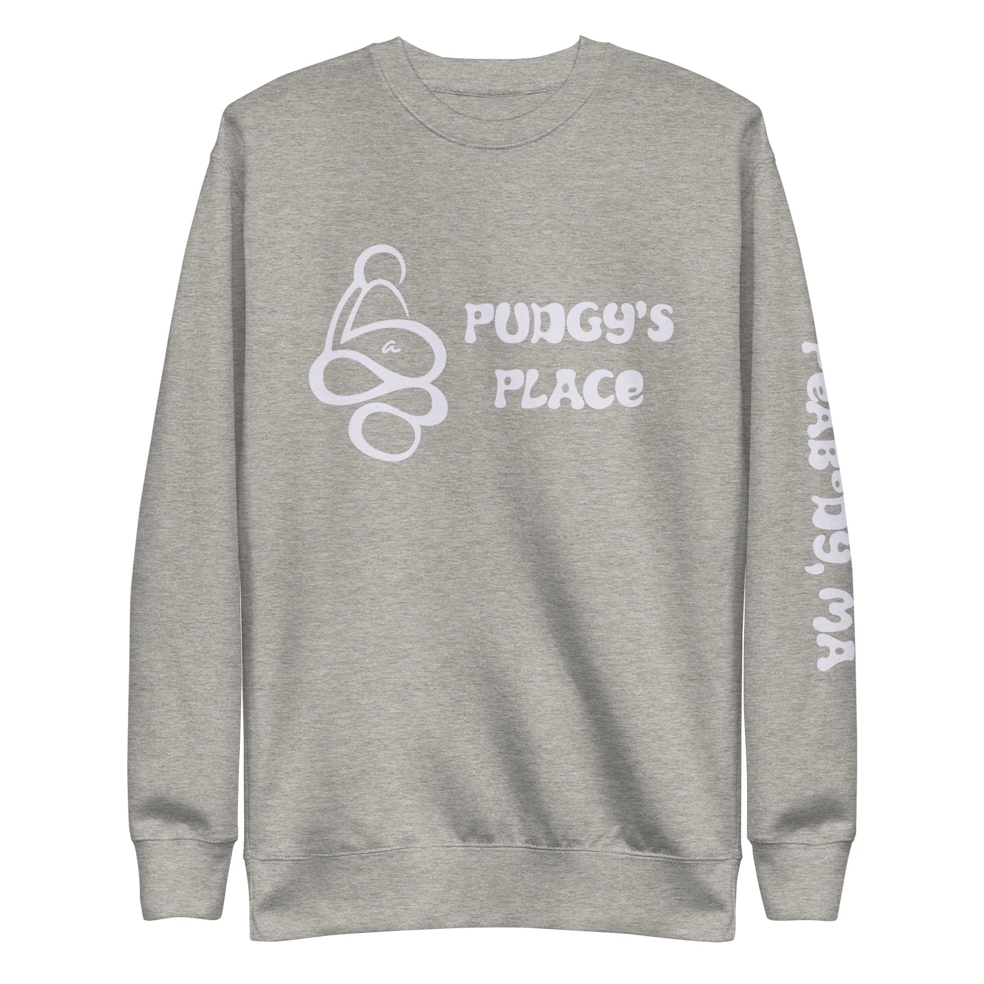 unisex-premium-sweatshirt-carbon-grey-front-6a1cb822a5d81.jpg