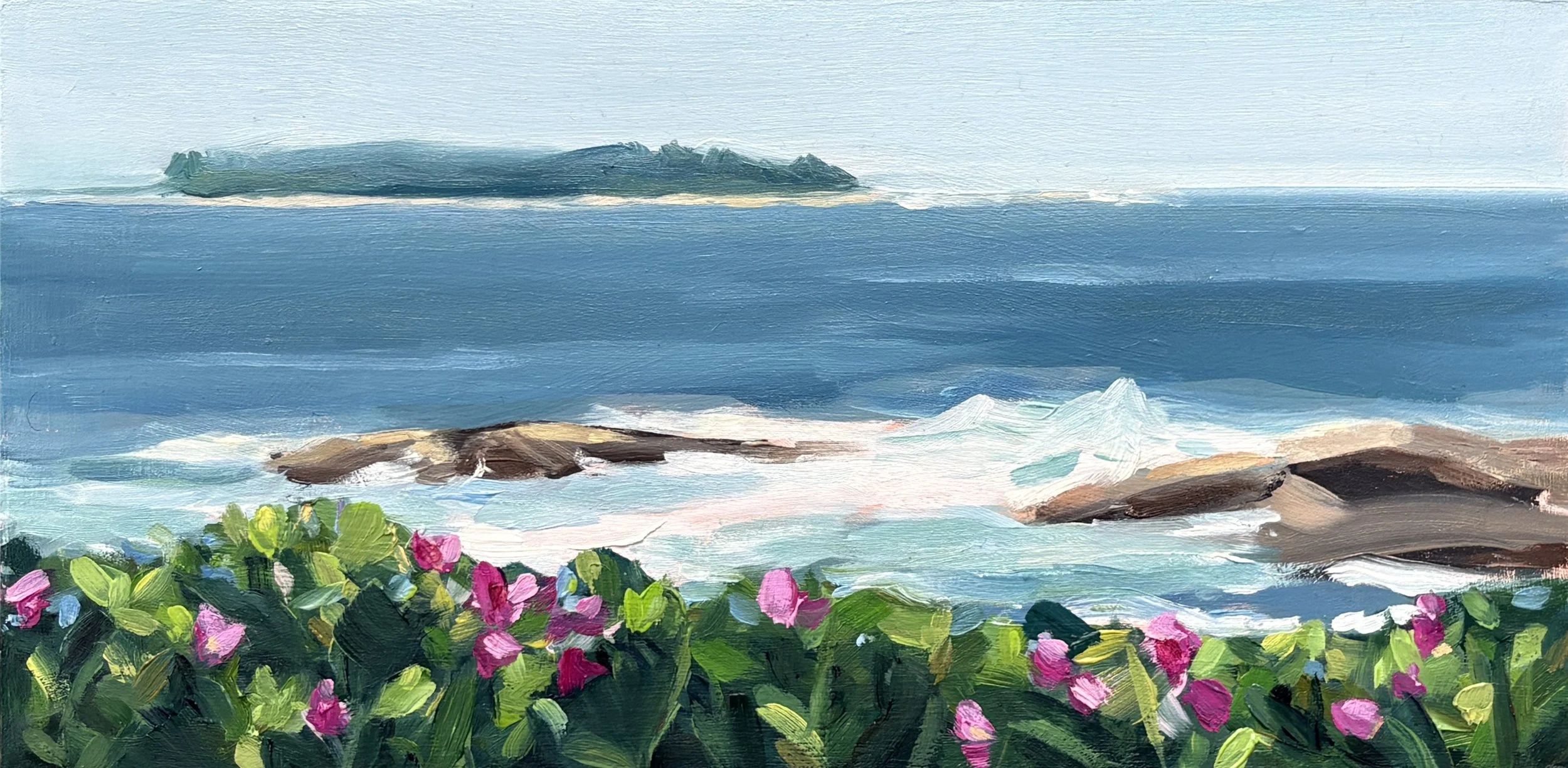 BeachRosesatSchoodic.JPG