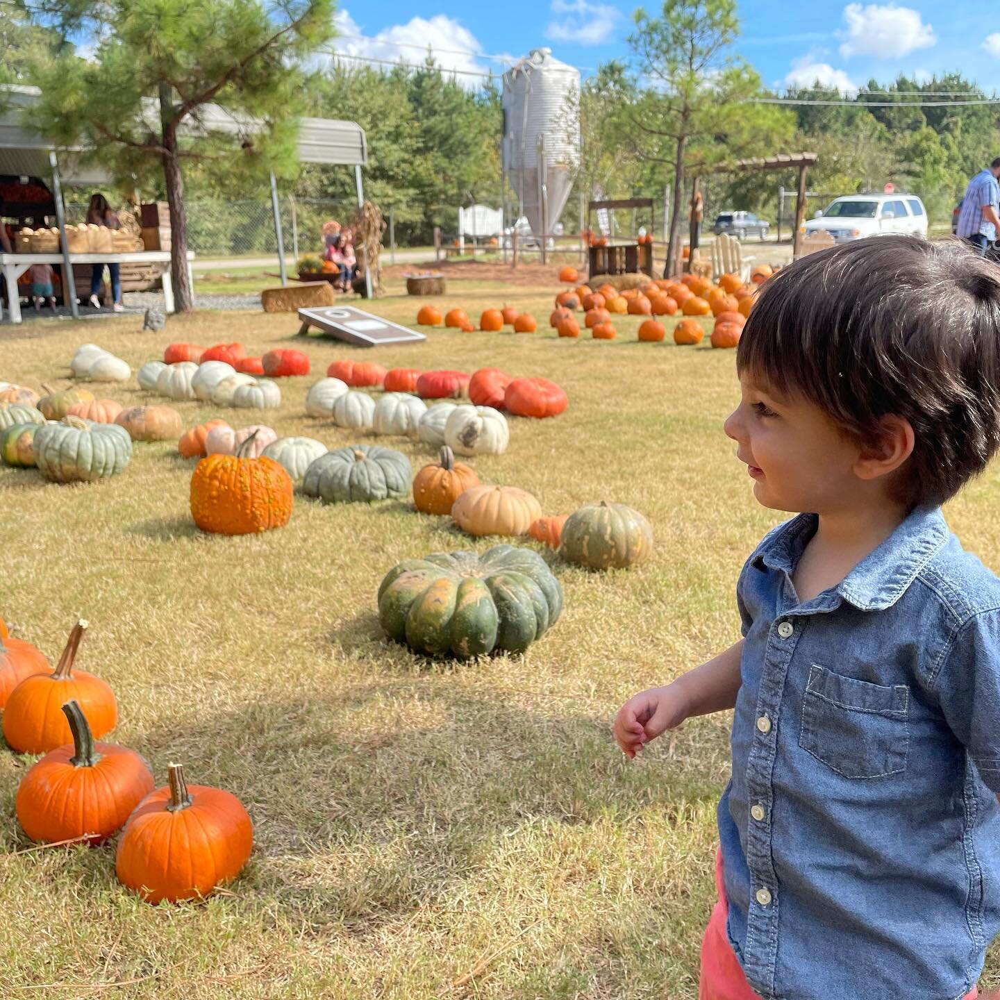 Absolutely adored picking out pumpkins to paint this afternoon! #AdventuresWithAiden