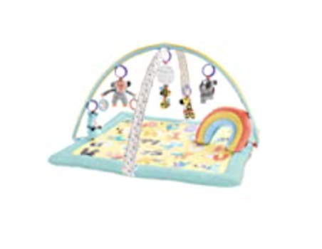 Skip Hop Activity Mat