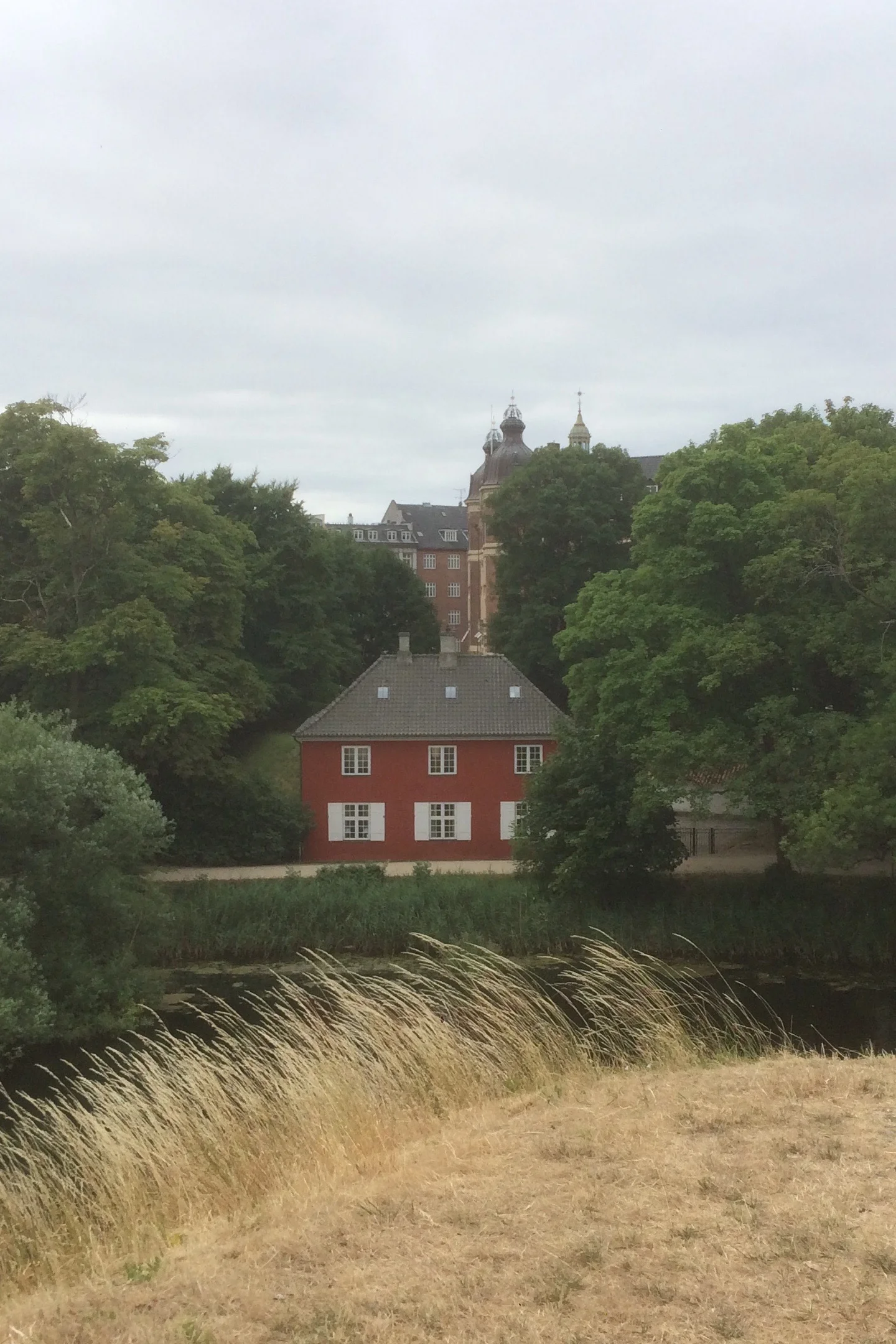 Meet the DAWN-IRES Scholars: Nora Linzer