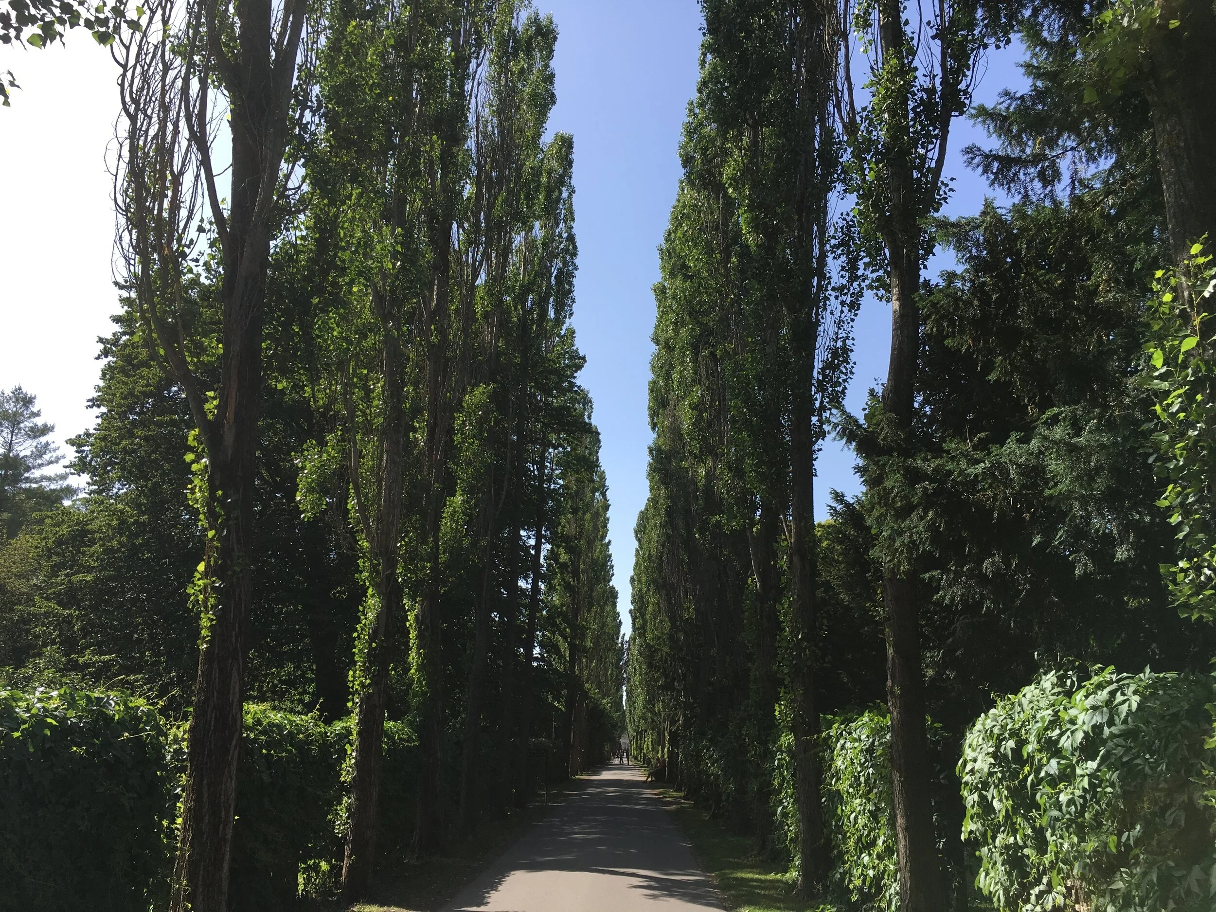 Assistens_Cemetary.2.JPG