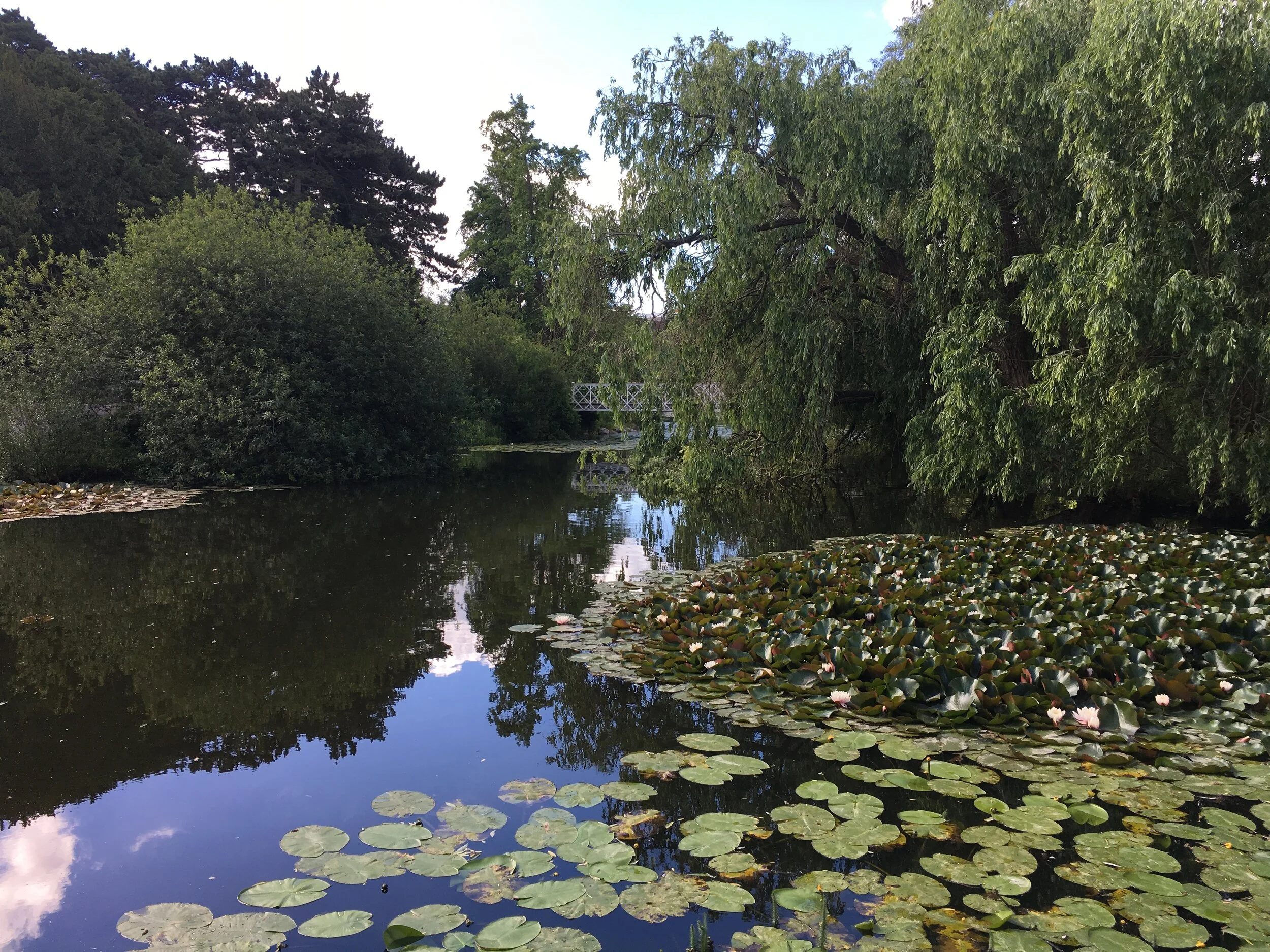 Botanical_Gardens.JPG