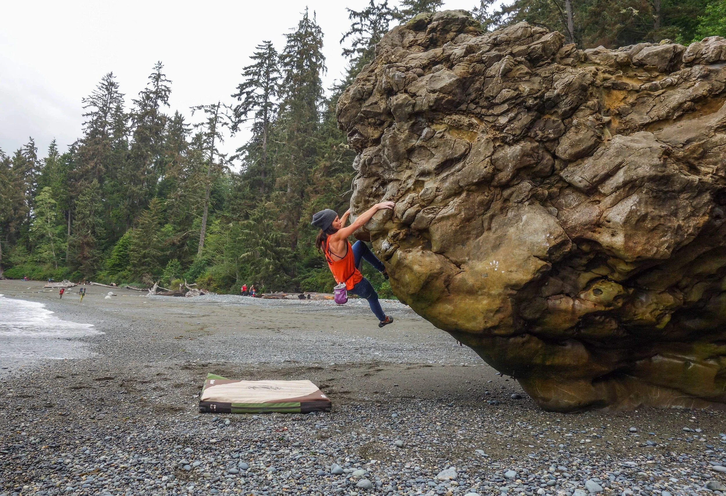 51EDAEA5-0B0F-4209-B42B-47DC2EFB283A - Nicole Strong.jpeg