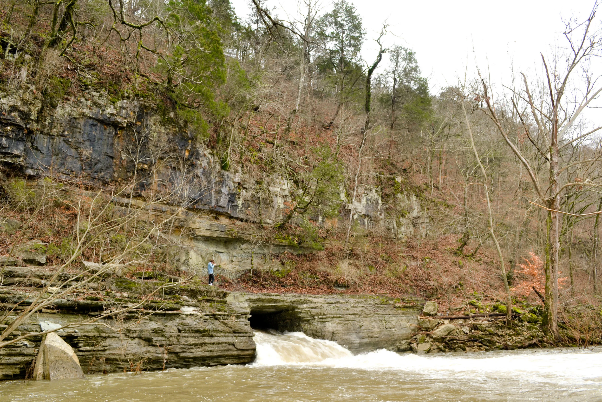 Narrows of the Harpeth — Brittany Ungermann