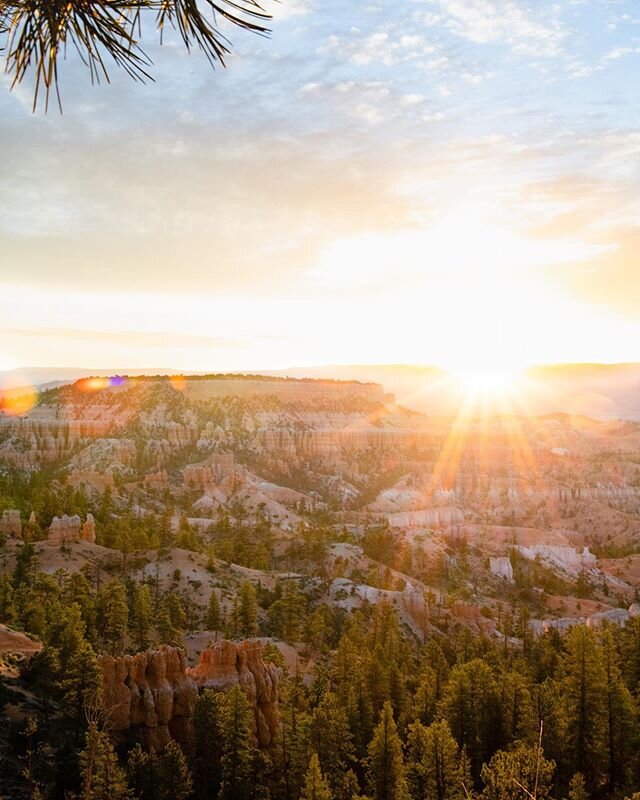 Rise and shine! 💛🌞