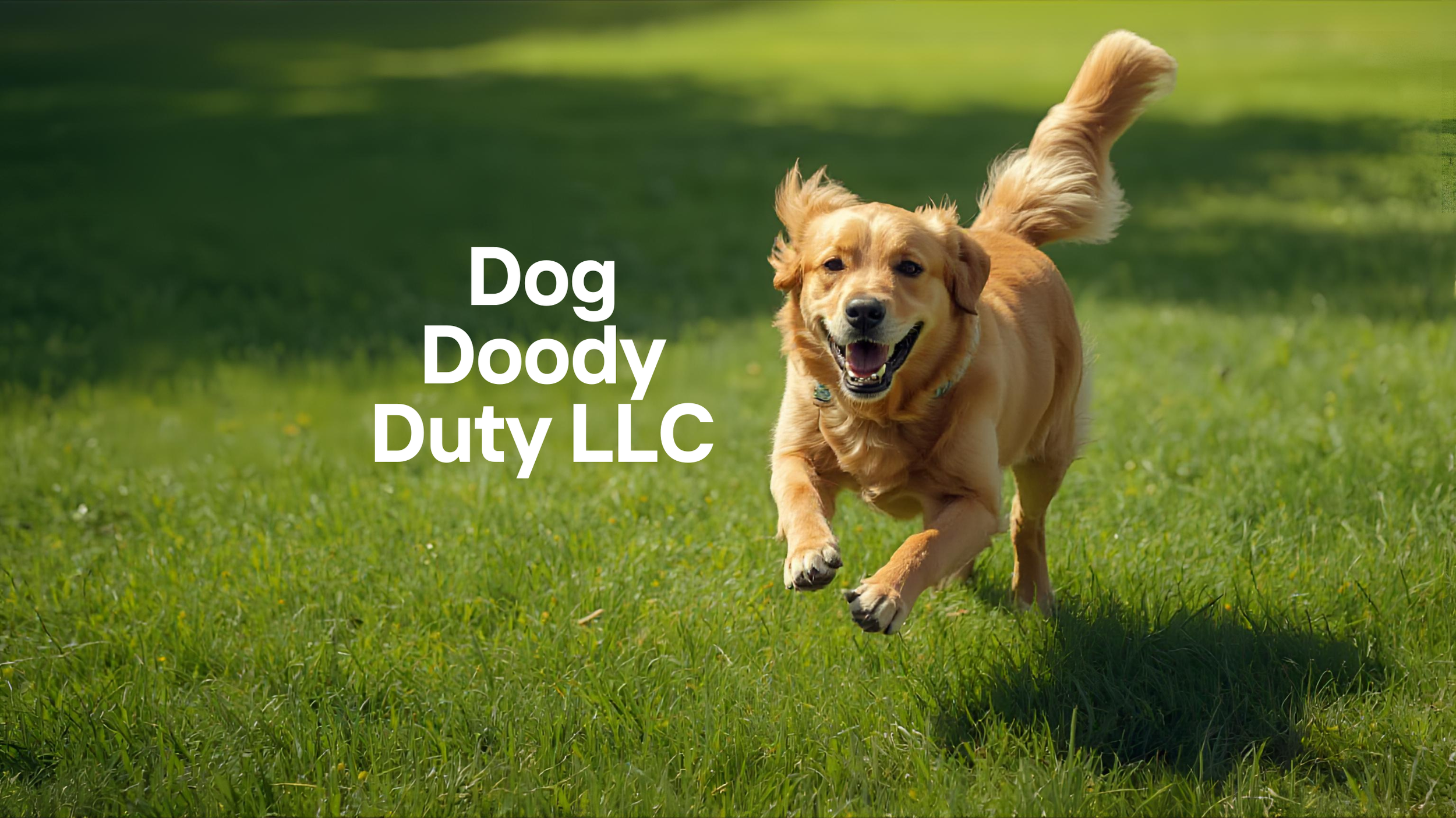 Playful Banner with Dog and Company Name (8).png