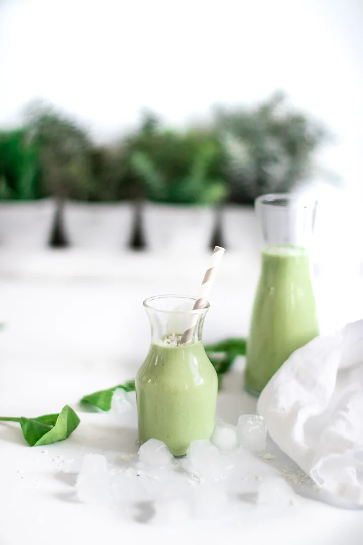 COYO avo Smoothie.jpg