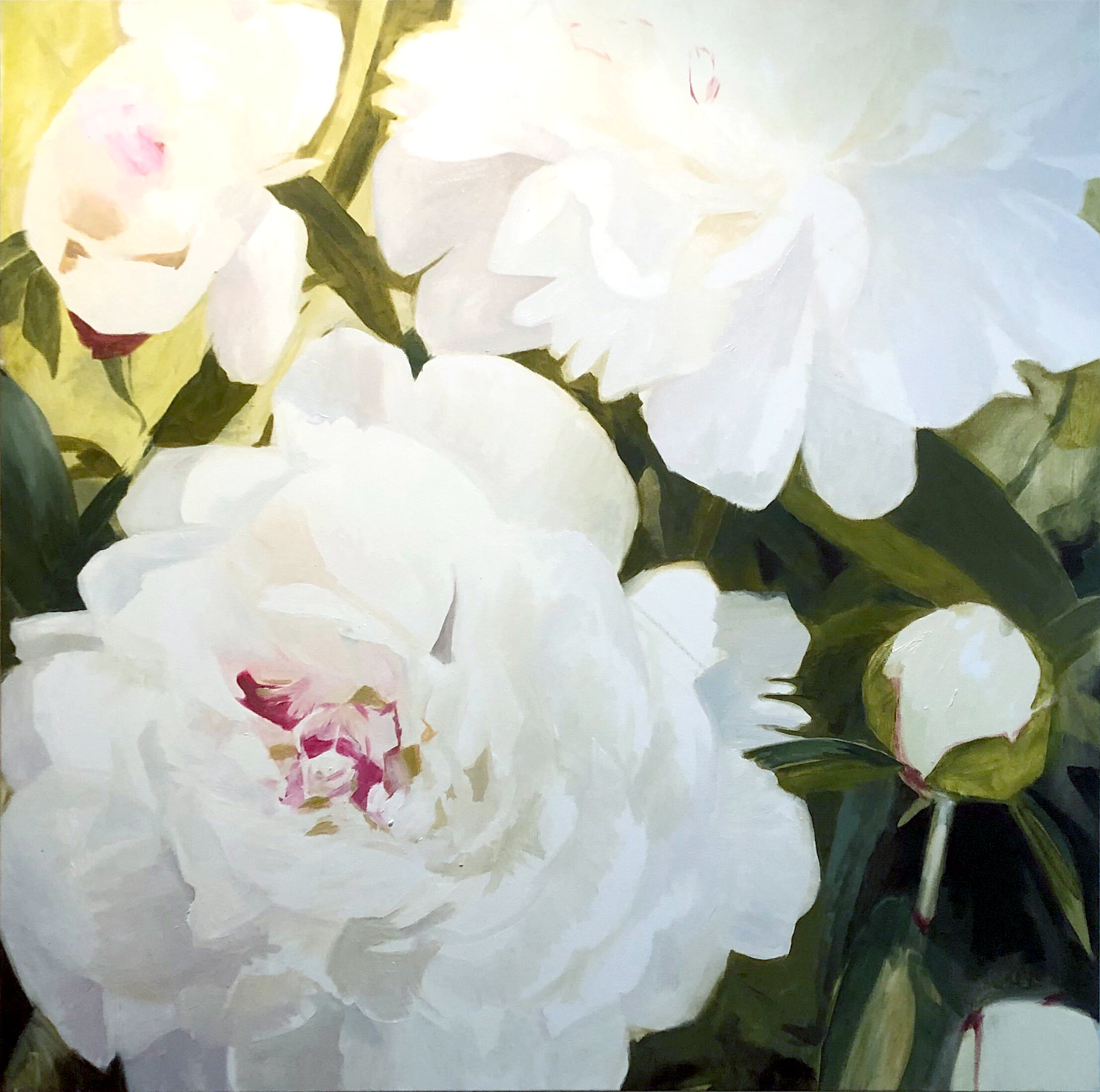 Peonies 3 (White), 2019