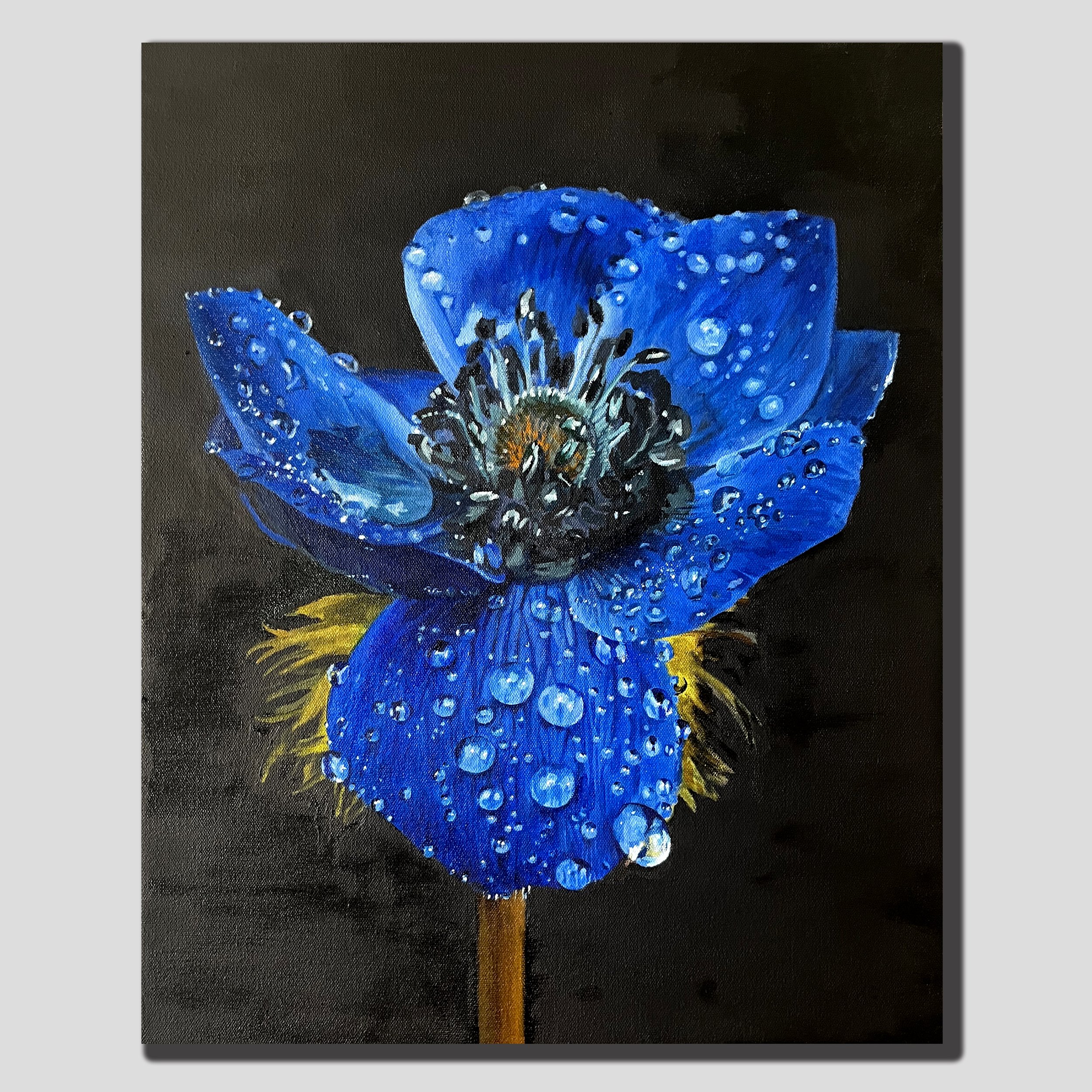 blue flower with water droplets.jpg