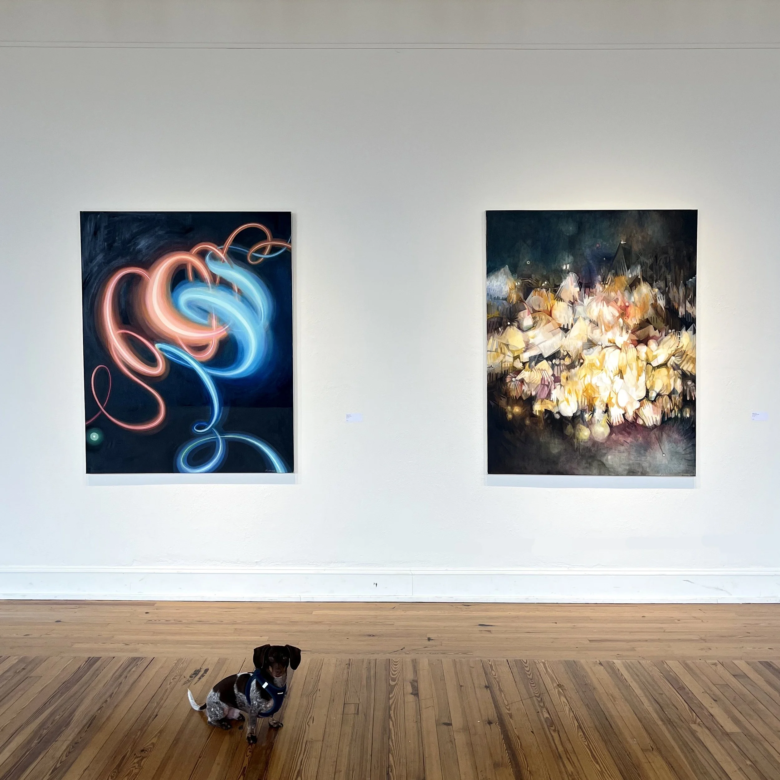 entangled and long exposure.jpg
