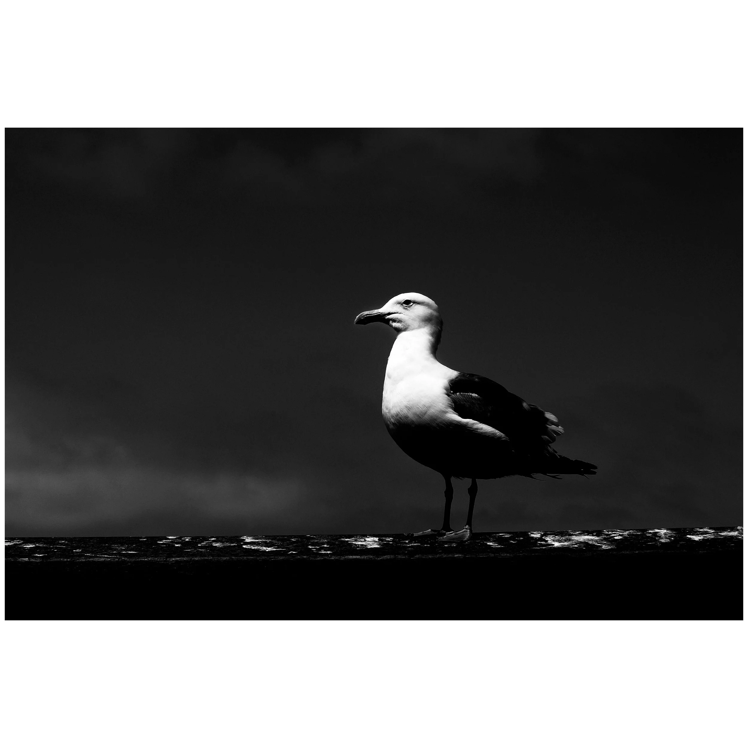 IMG_7486.jpeg