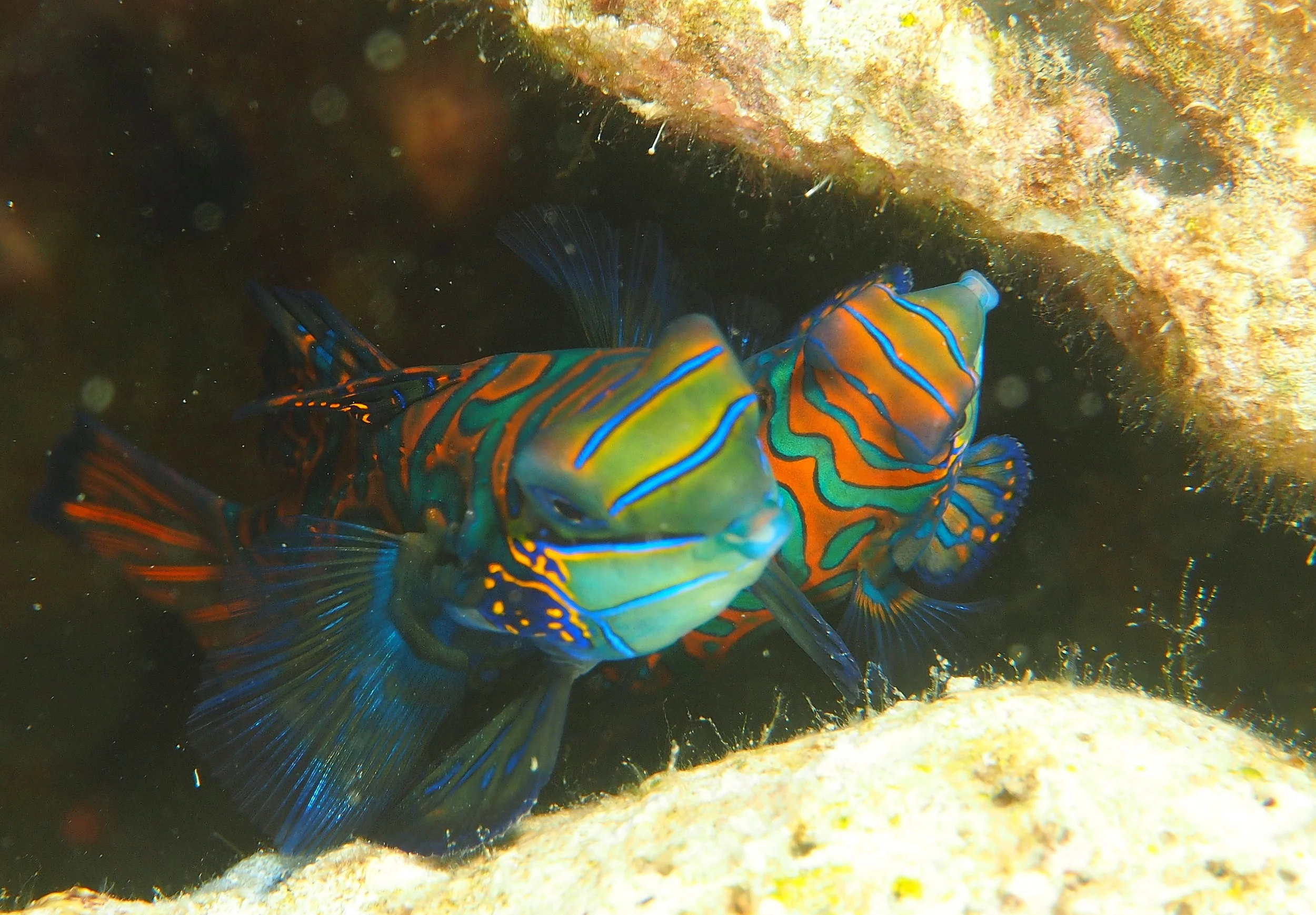 P7184870r.JPG