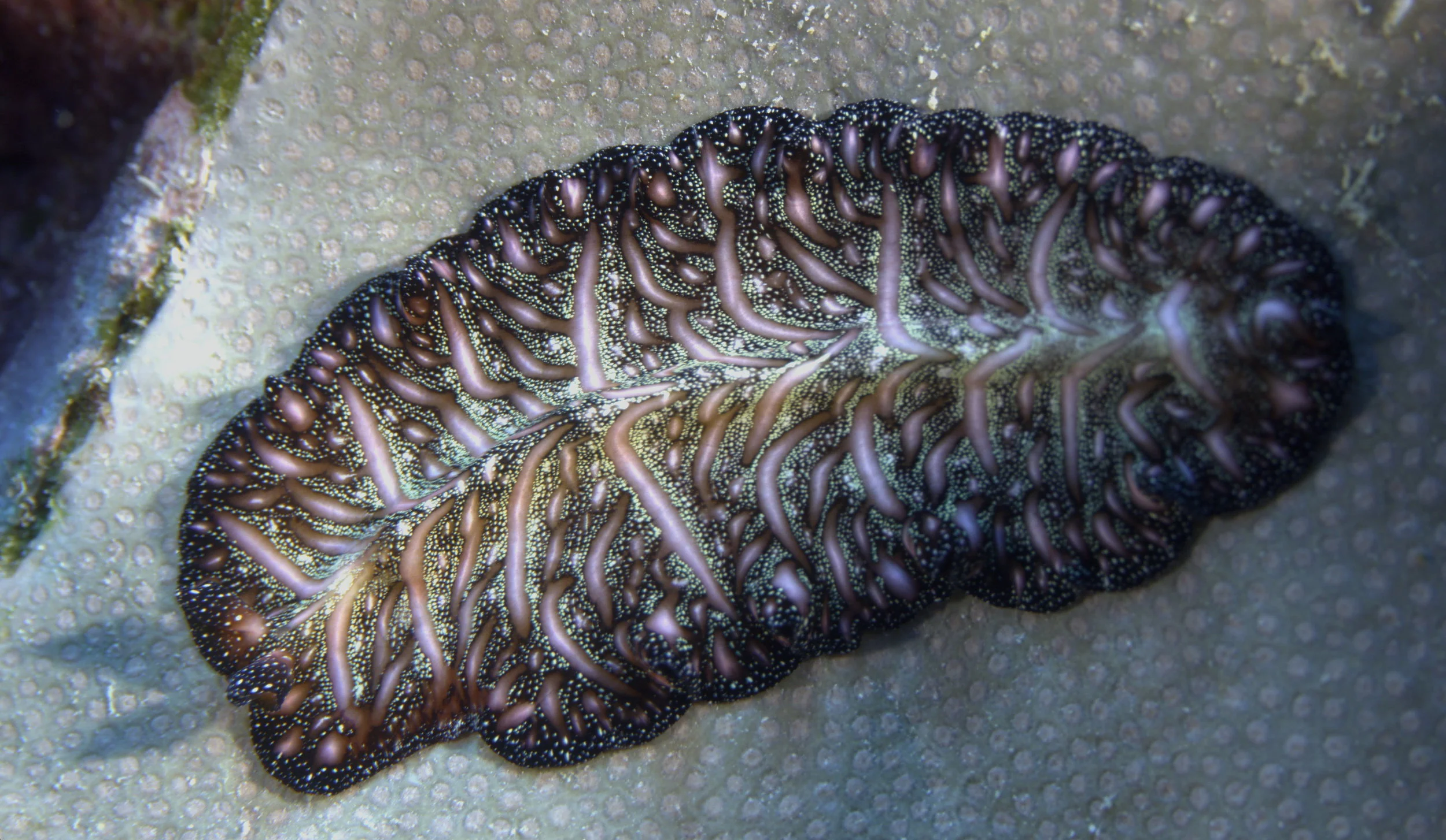 P7224948rco.JPG