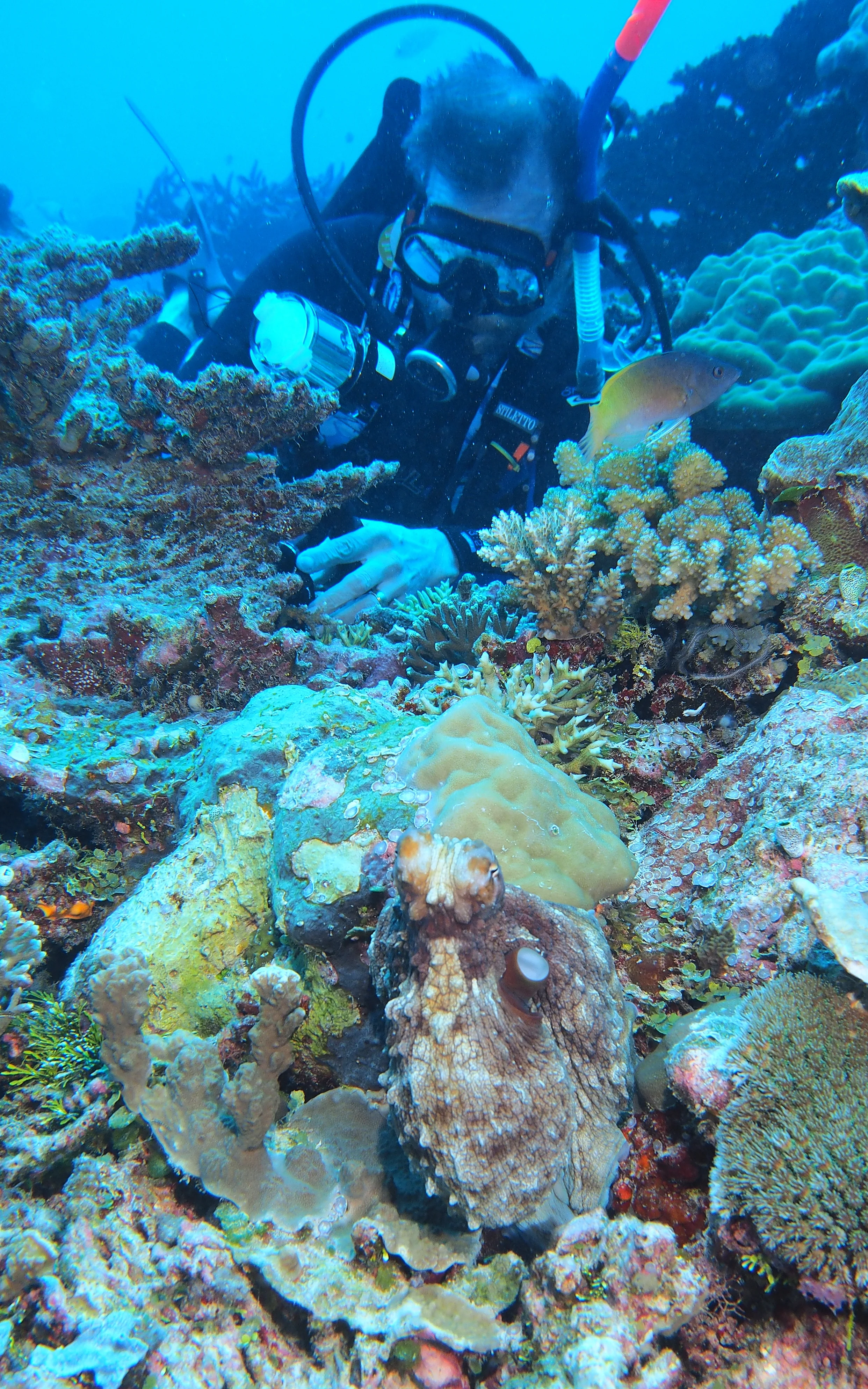 P9075834rc.JPG