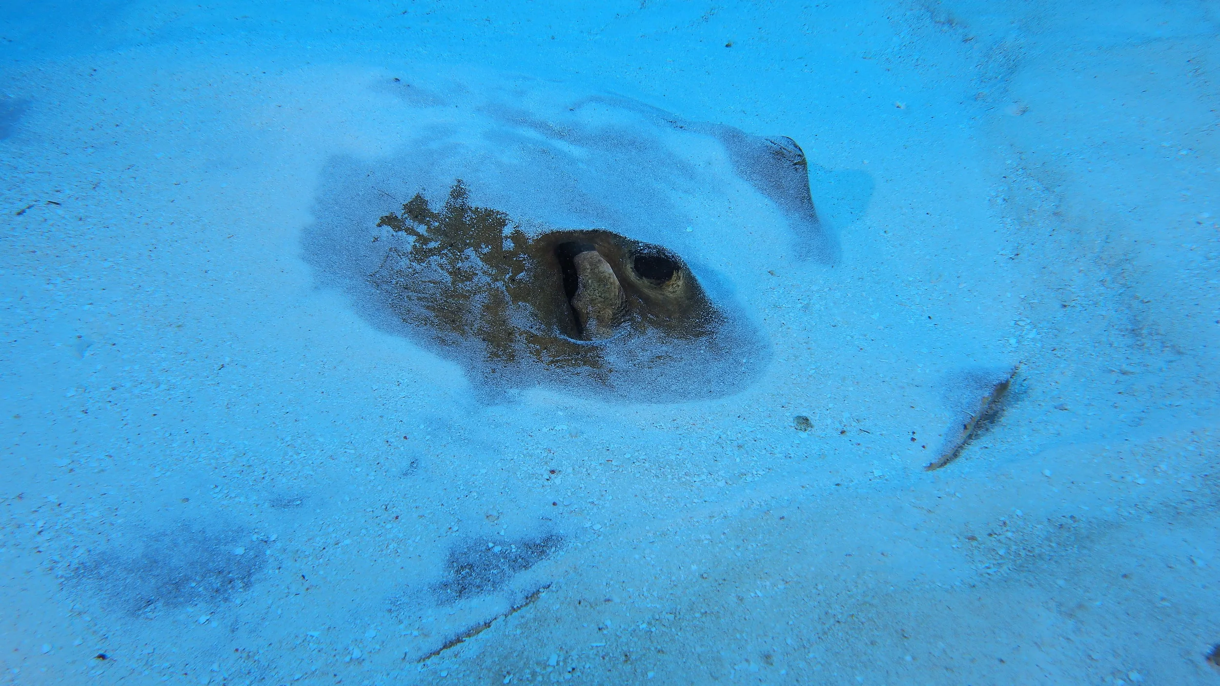P9085883r.JPG