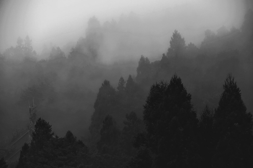 gray mountain.png
