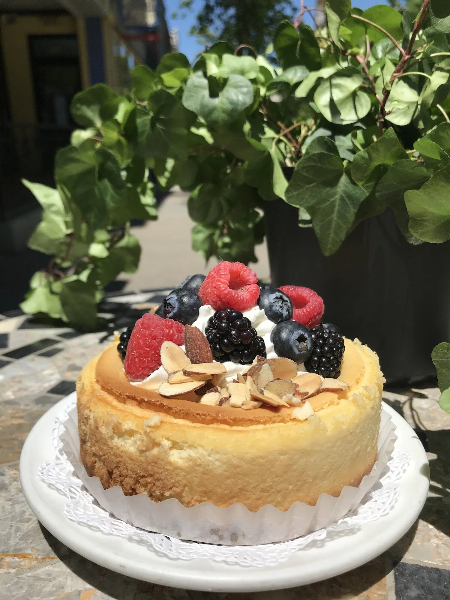 Gallery — Old Europe Pastries