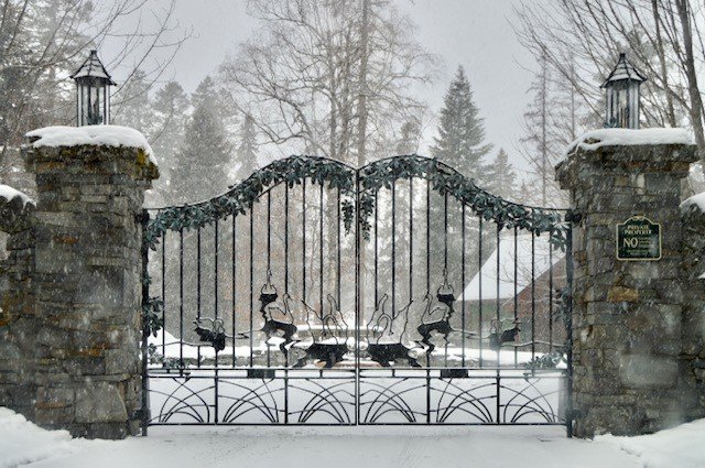 Snowy gates.jpg