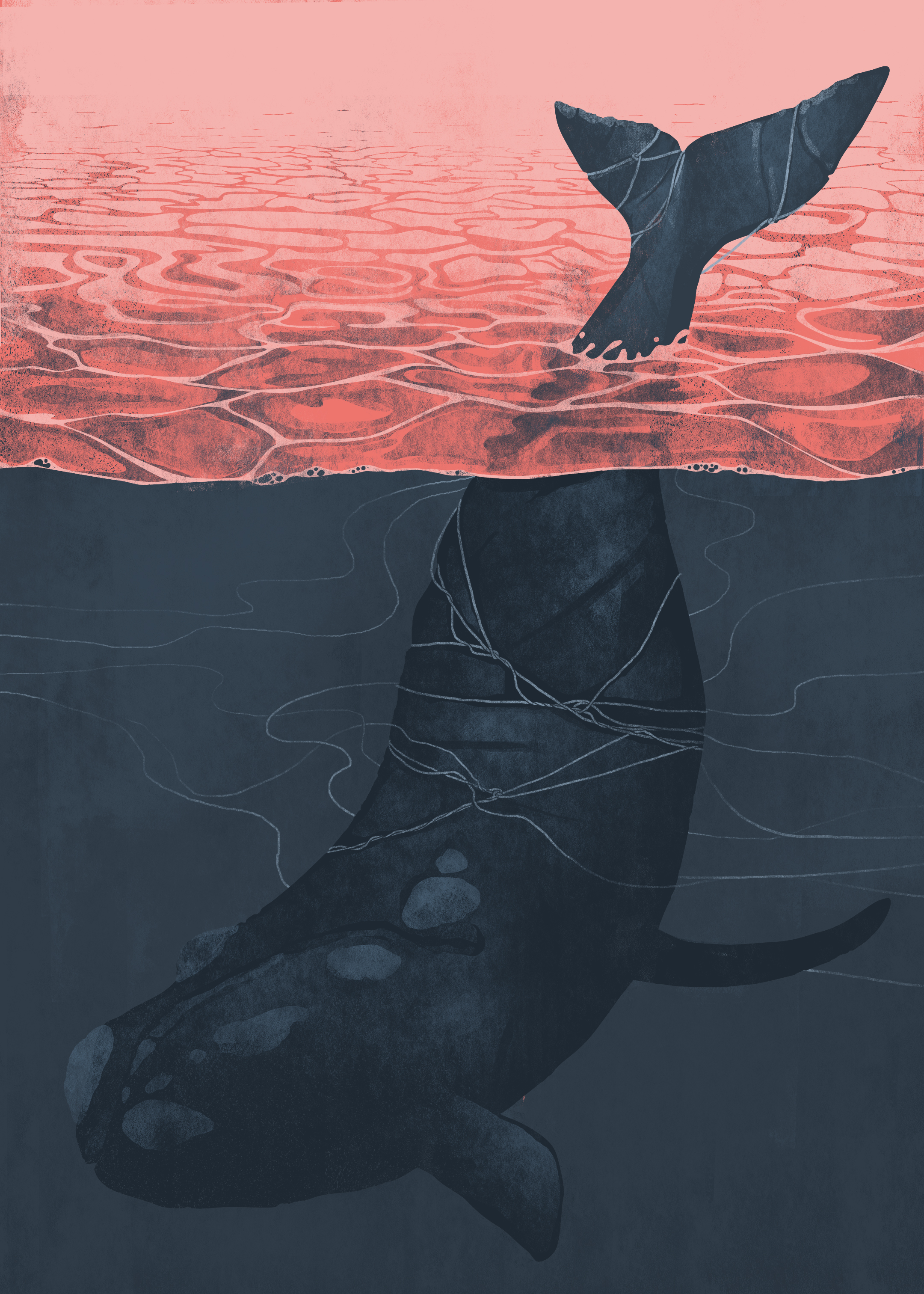 “Joe and The Whale,” The Deep Magazine