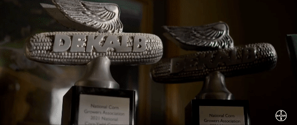 Screen Recording 2024-03-26 at 10.59.58 AM.gif