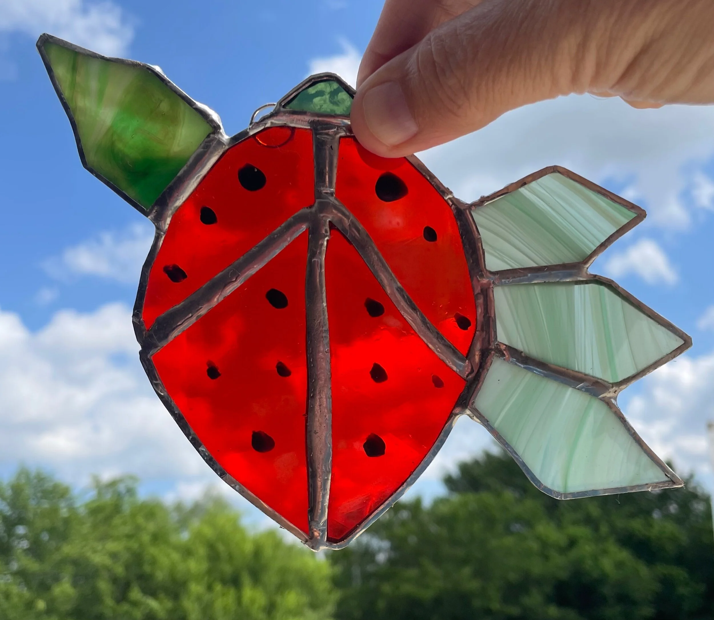 4976DAA6-076C-49C9-9FD8-08B940E3130A