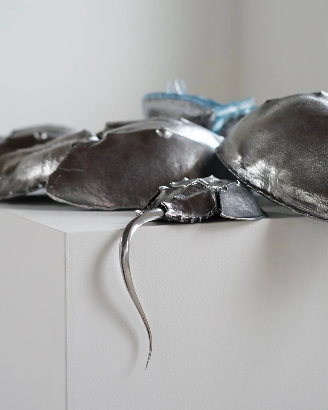 2026, Blue Blooded, Museo Nivola, Orani