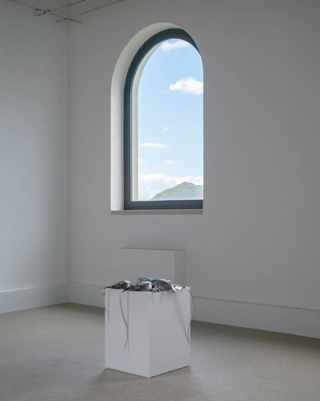 2026, Blue Blooded, Museo Nivola, Orani