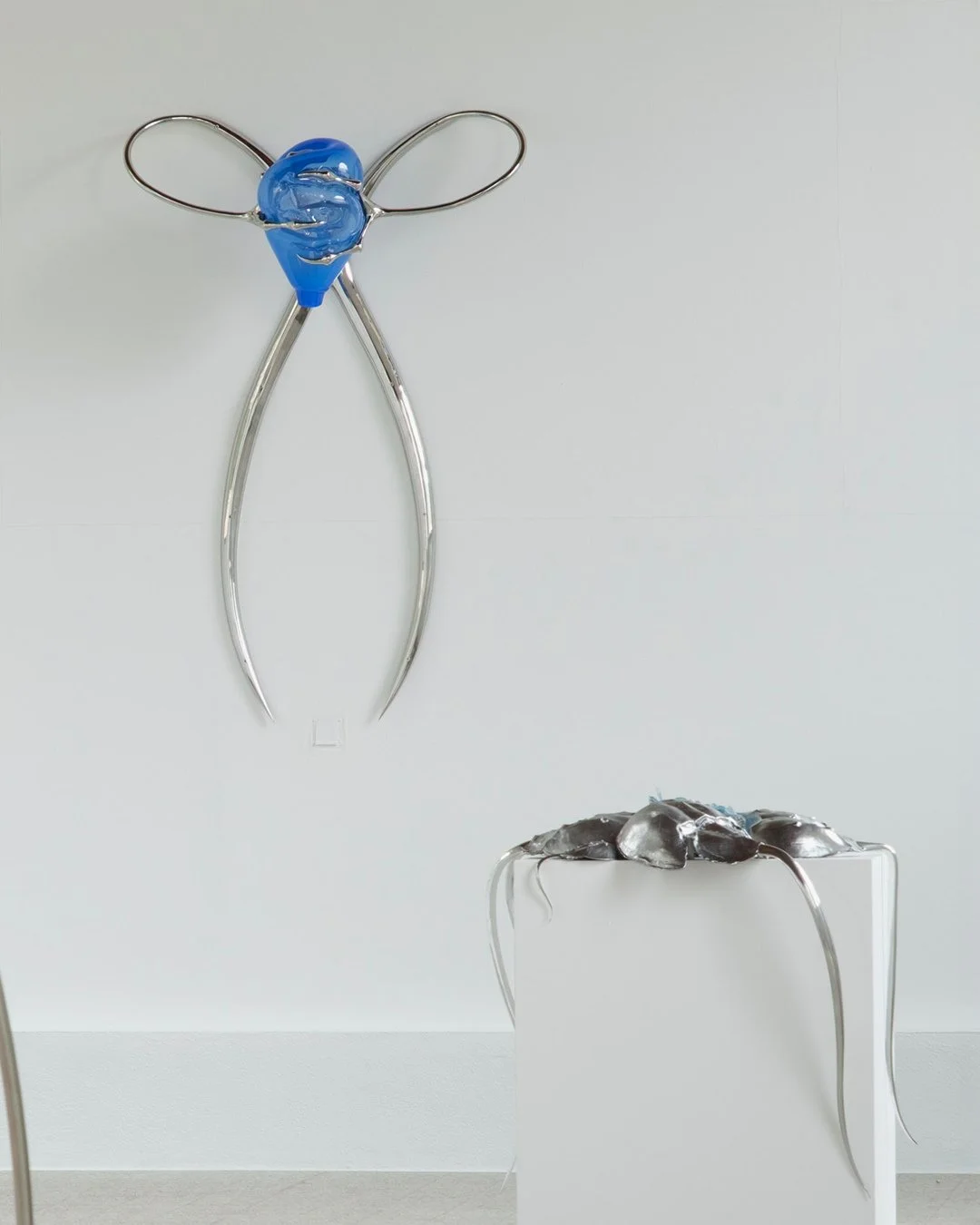 2026, Blue Blooded, Museo Nivola, Orani