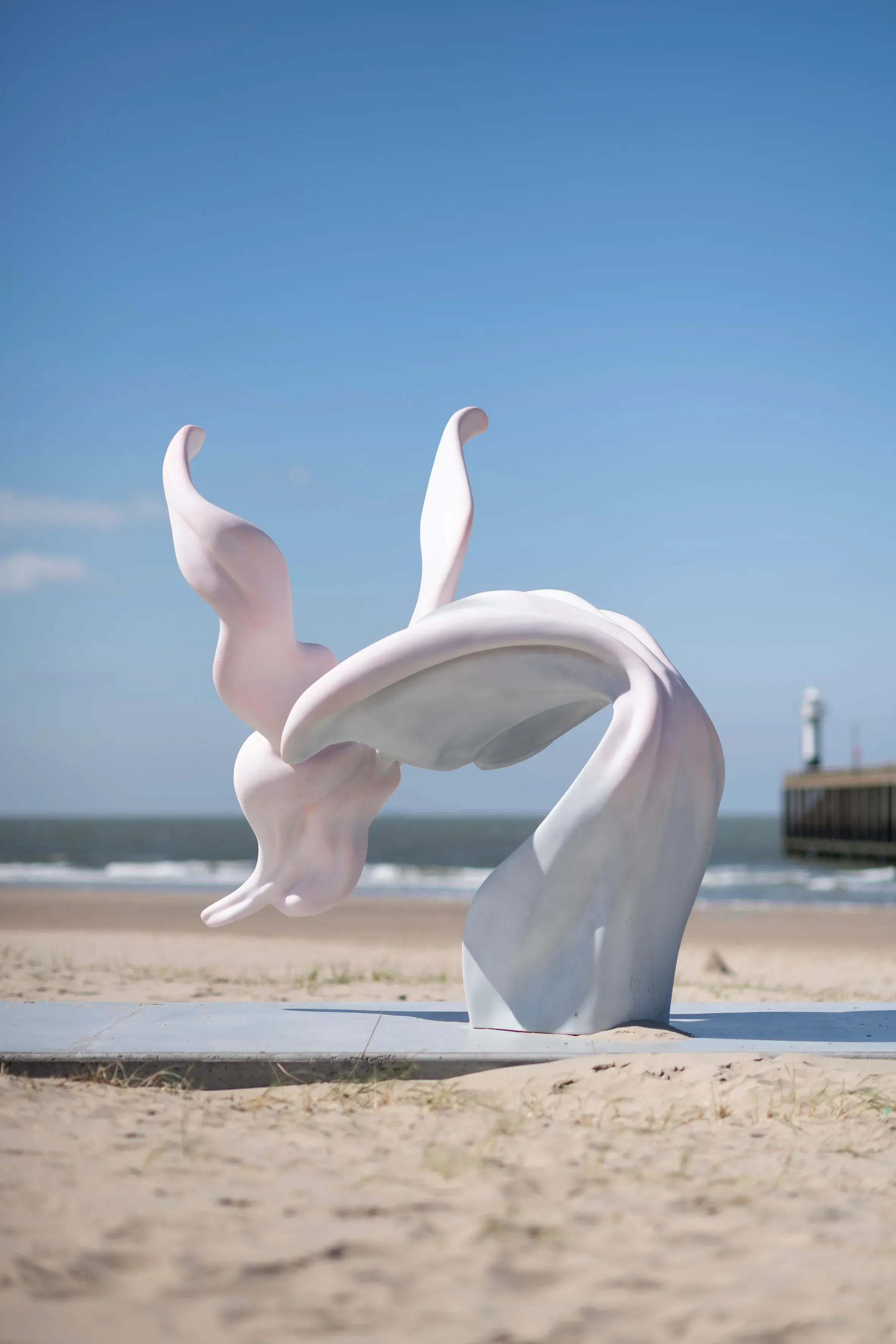 2020, Beaufort, The Dancer V (Copy)