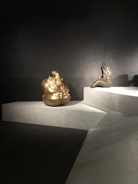 2020, New Museum, Birth Canal (Copy)