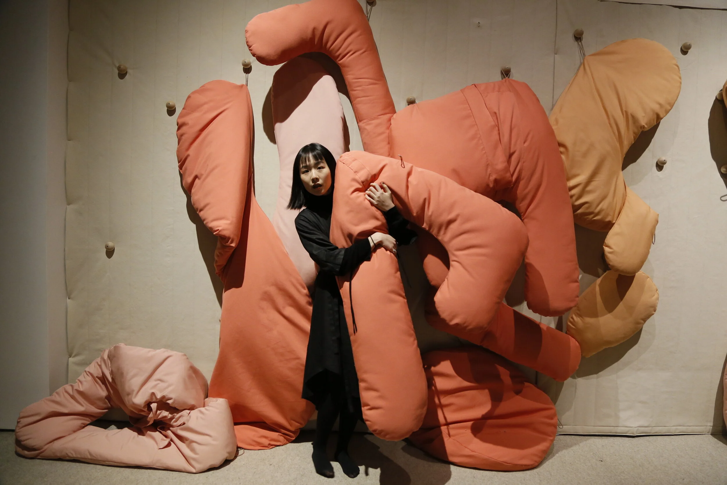 PillowWebsite_Installation_TestBed_General 10.JPG