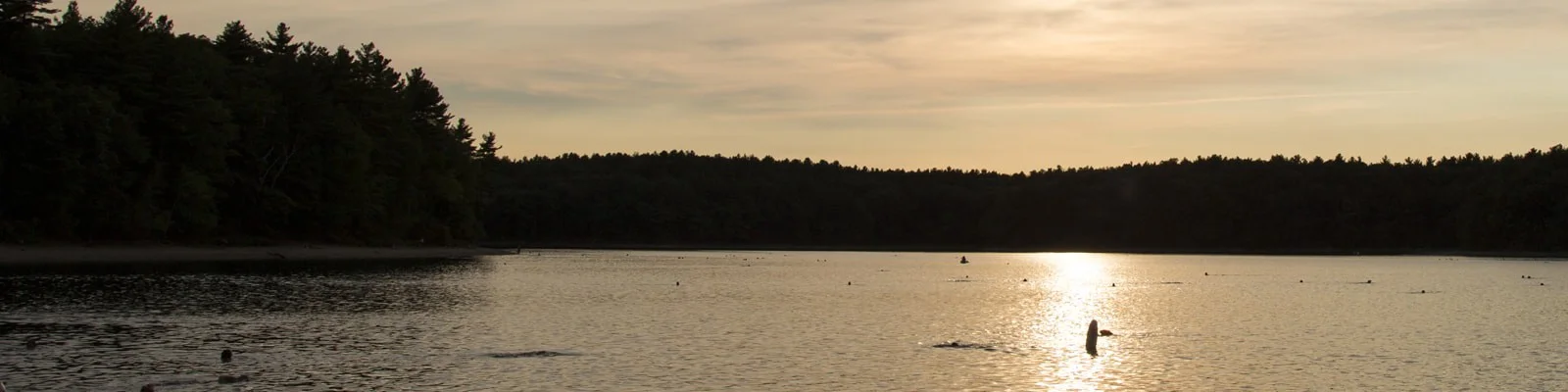 Chicopee Memorial State Park 1.jpeg