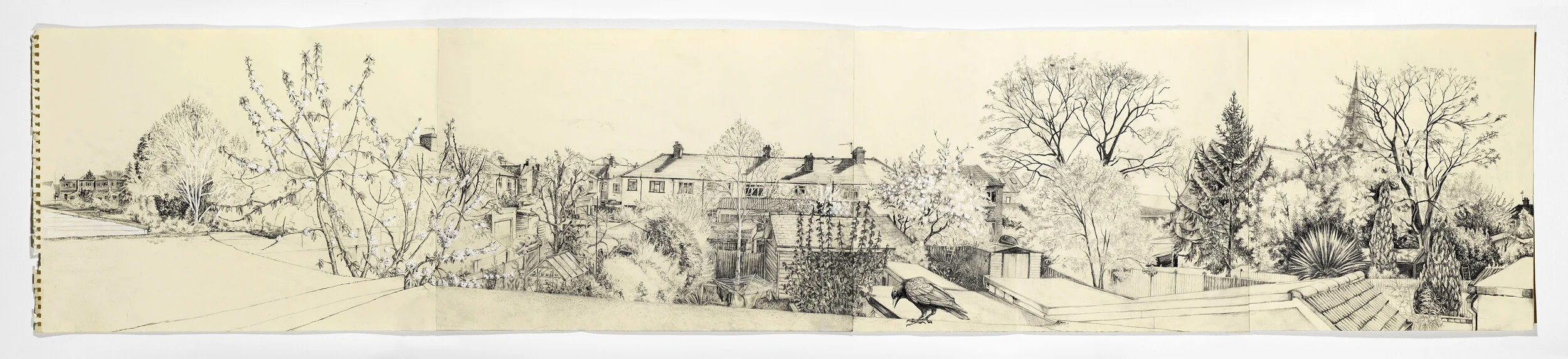 View from the Flat Roof