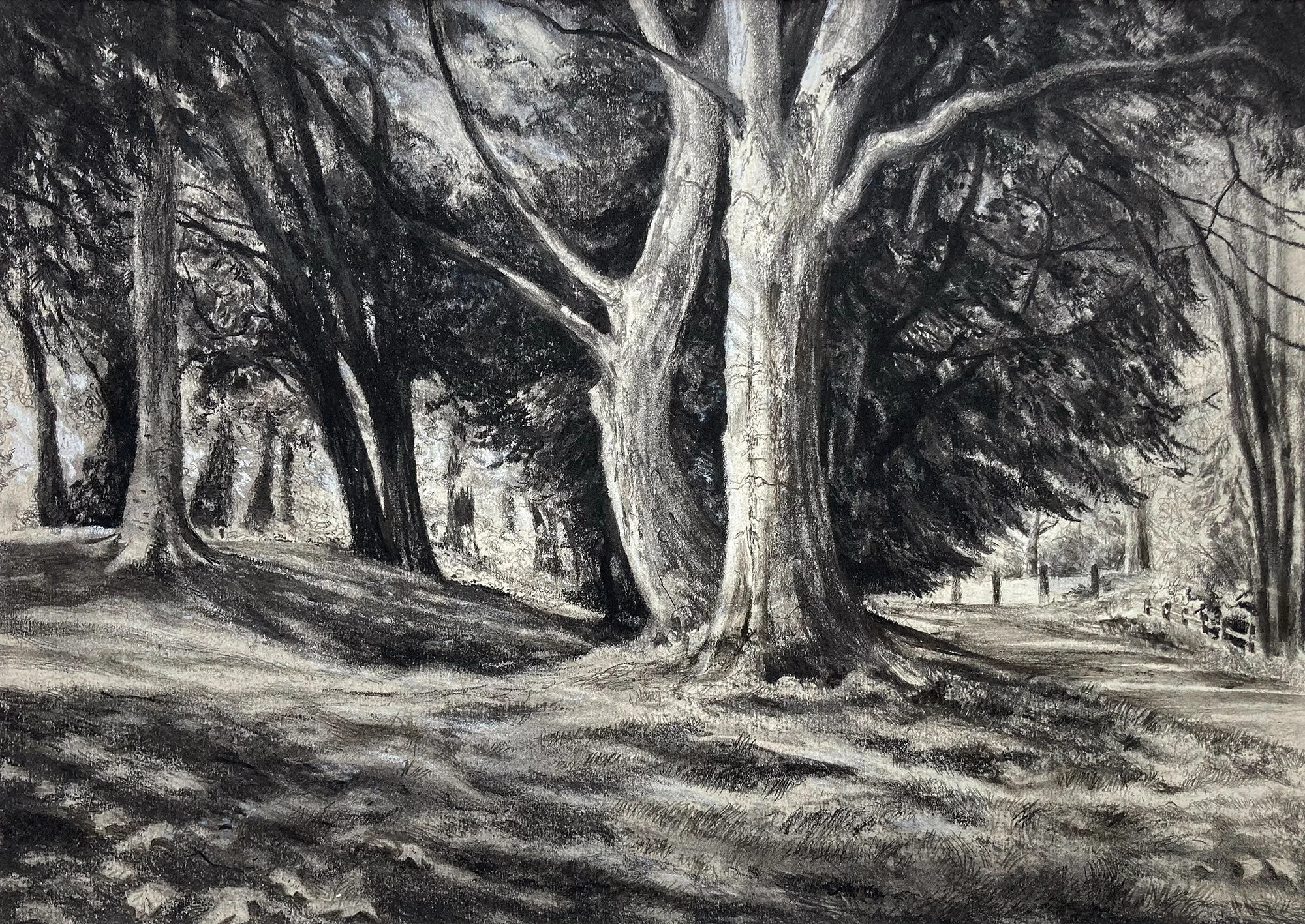 Charcoal, graphite and chalk drawing, 42 x 29.7cm