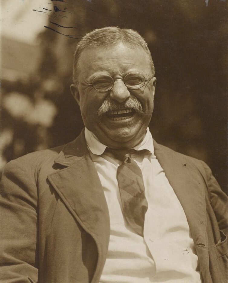 Theodore Roosevelt 