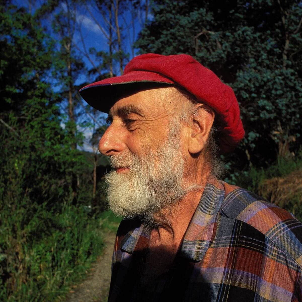 Friedensreich Hundertwasser 
